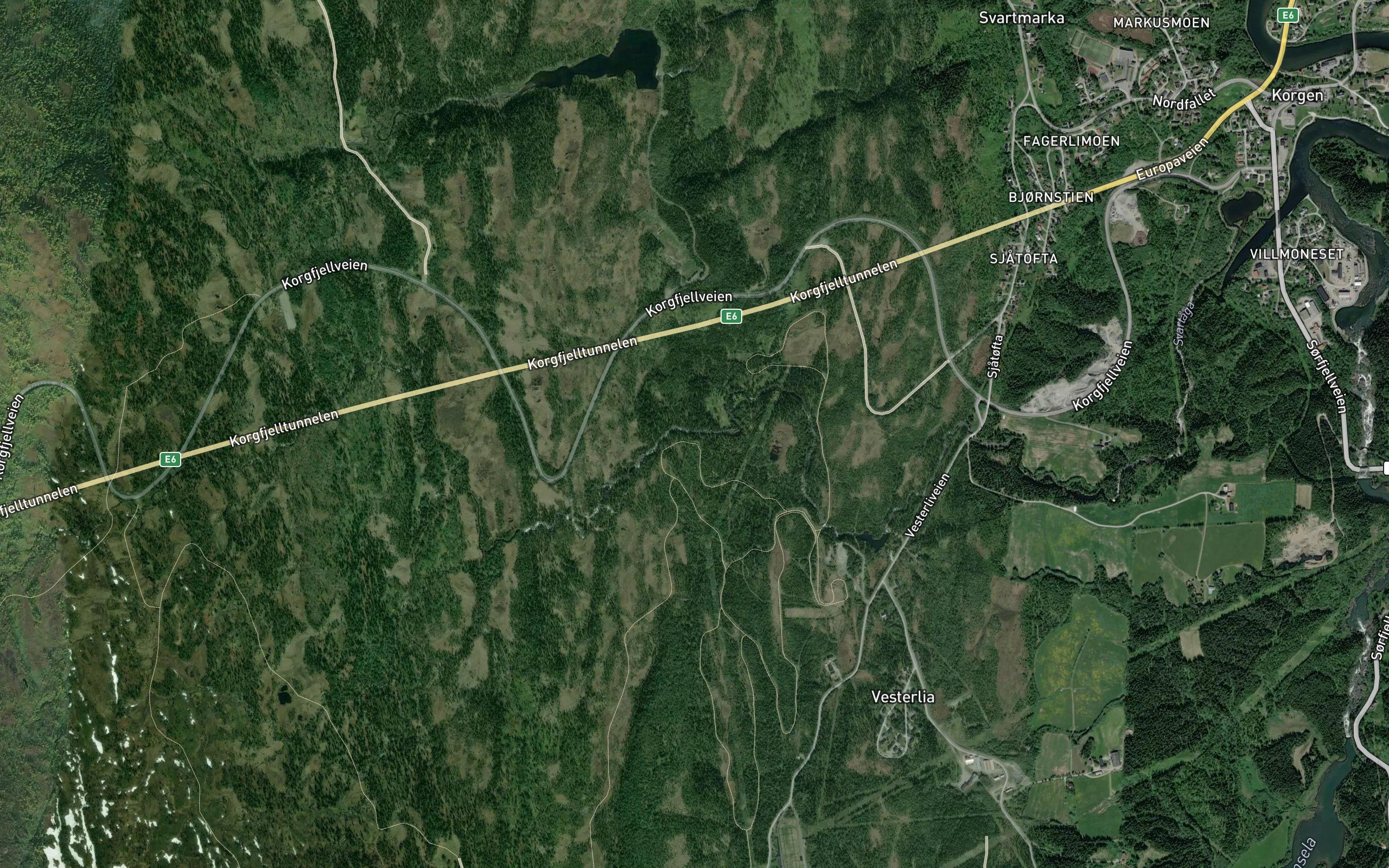 Svartaga