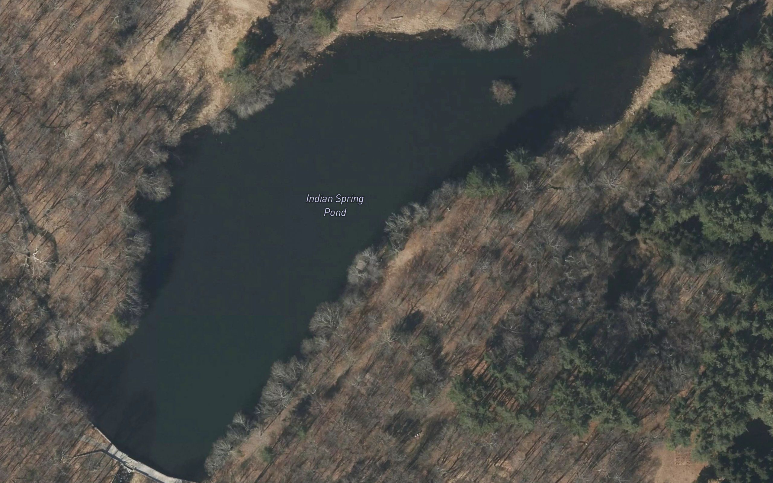 Indian Spring Pond