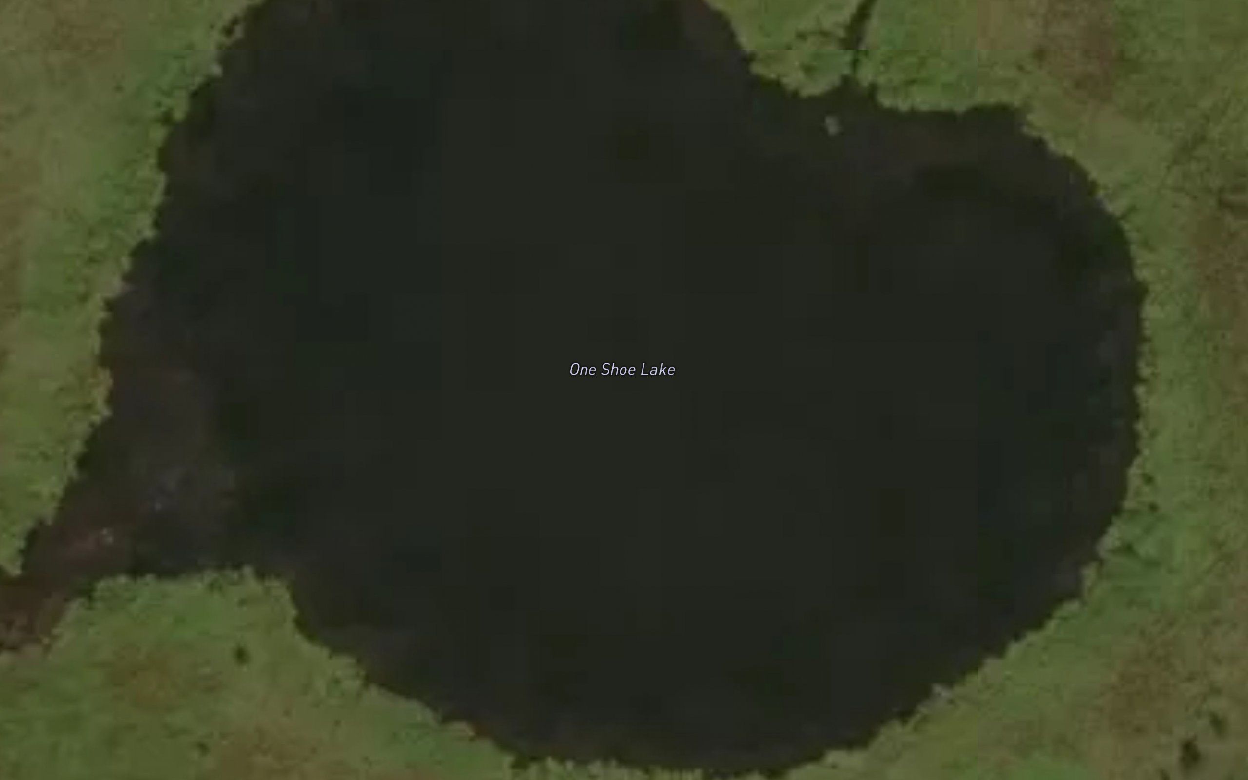 One Shoe Lake