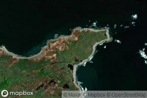 Bear Cove Pond