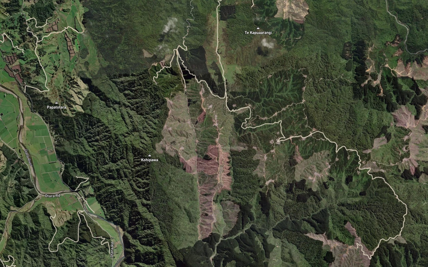 Satellite map of the Taipouri Stream