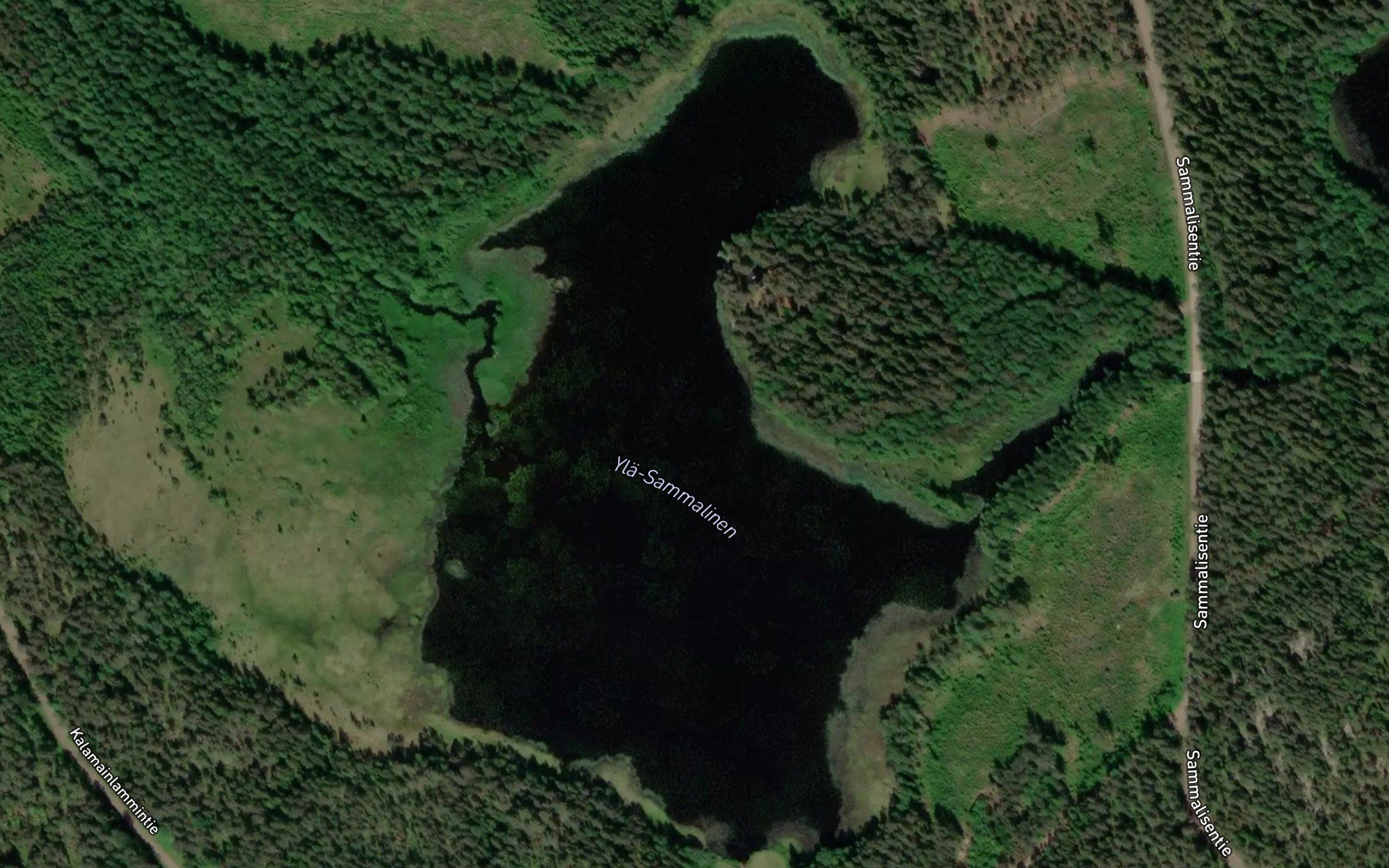 Yla-Sammalinen