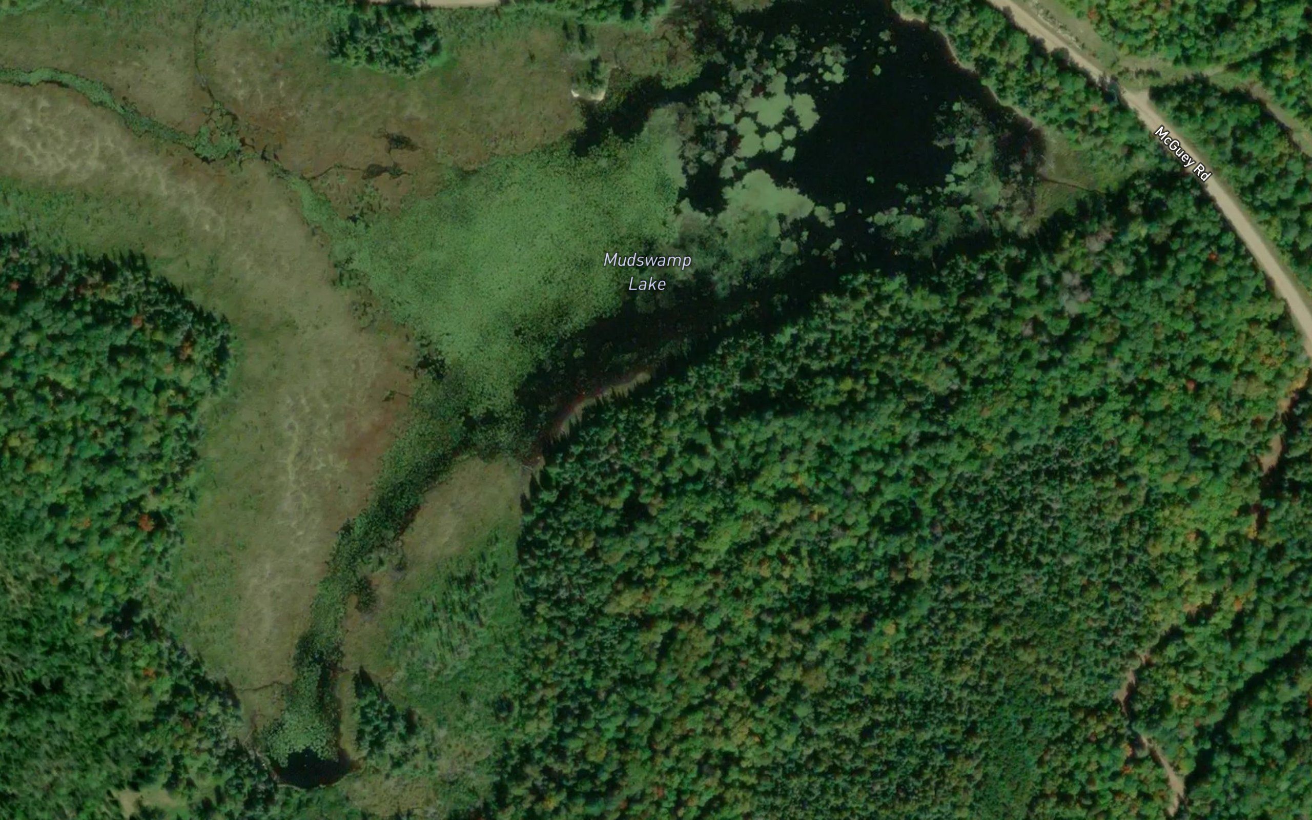 Mudswamp Lake