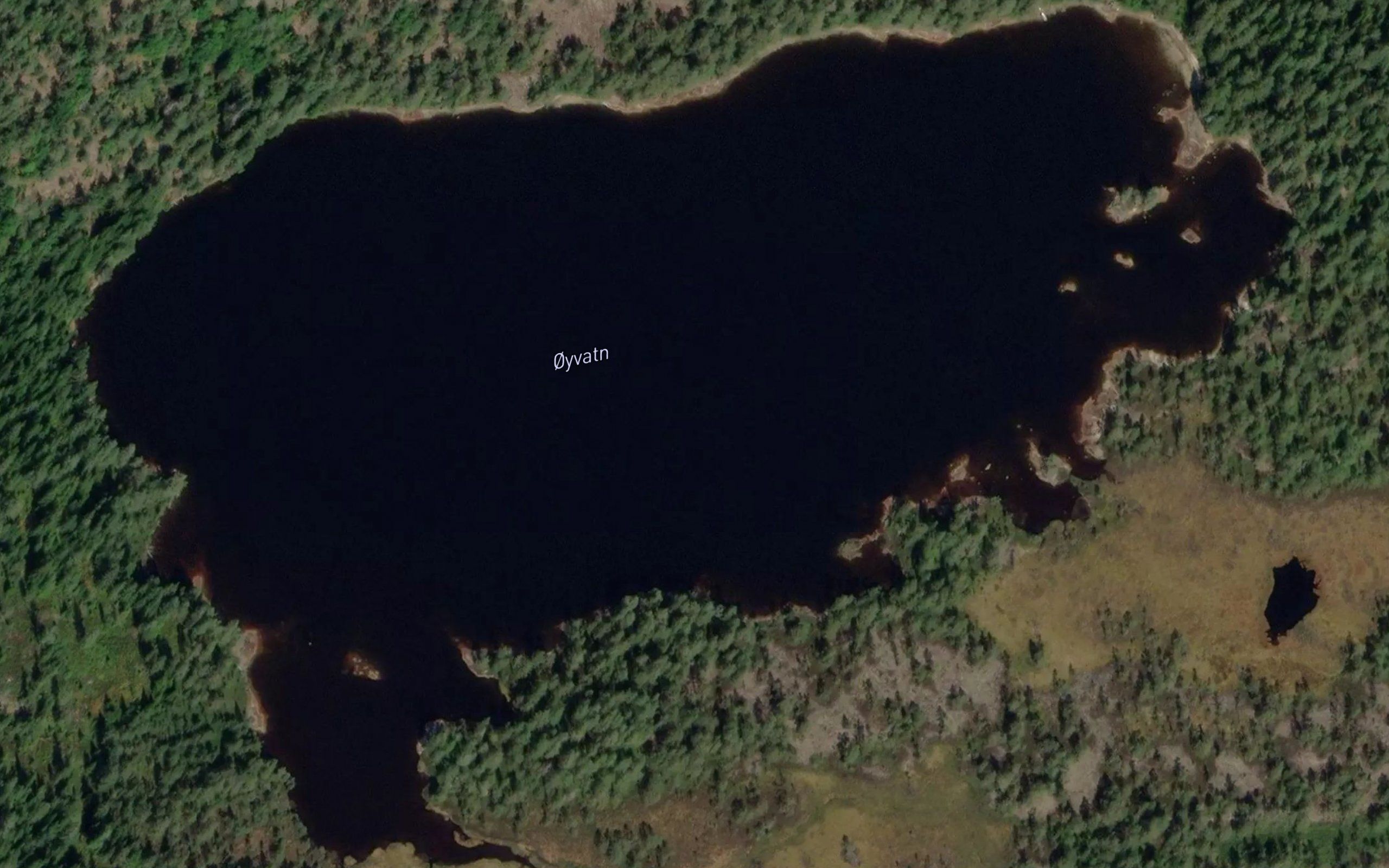 Oyvatn