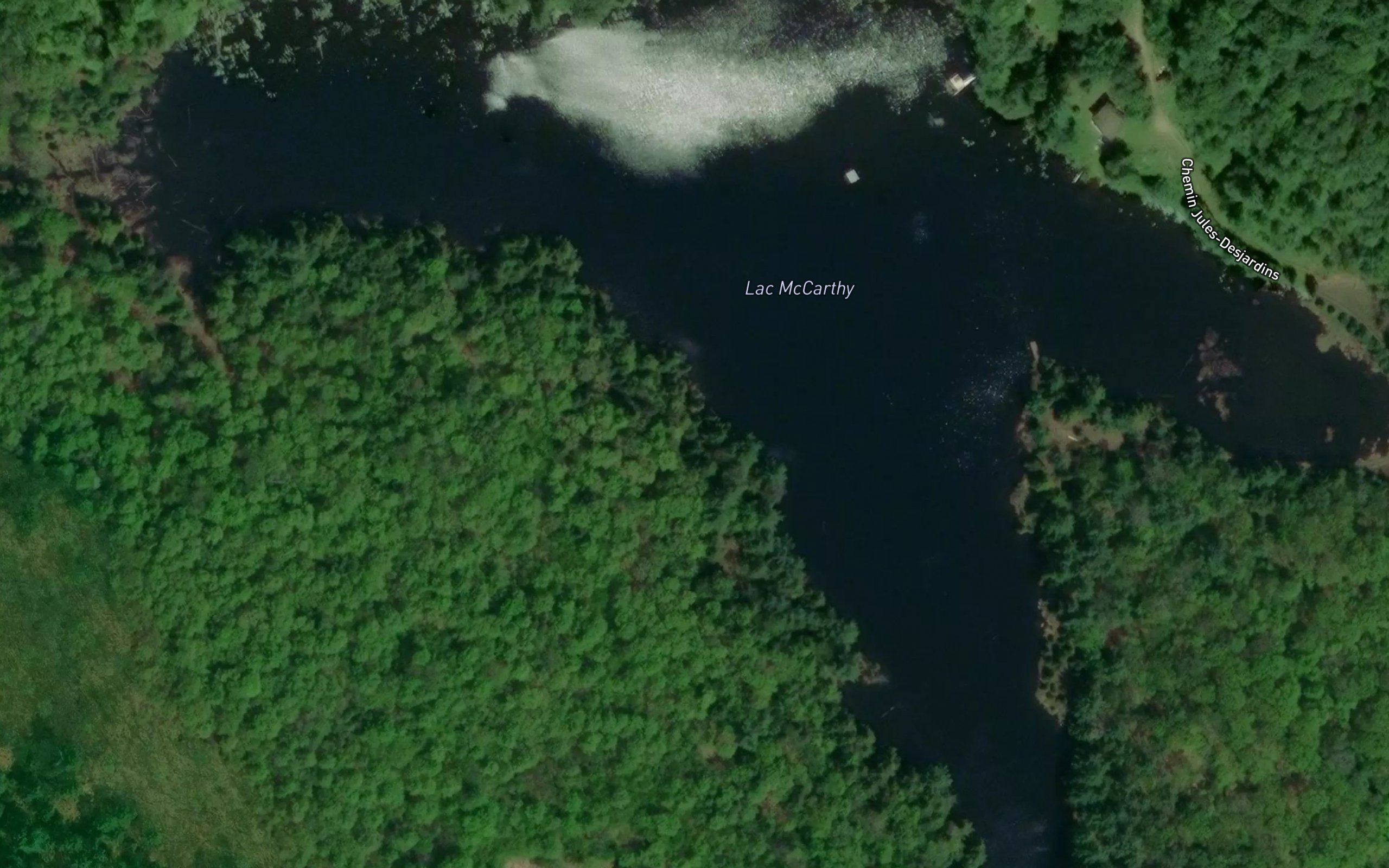Lac McCarthy