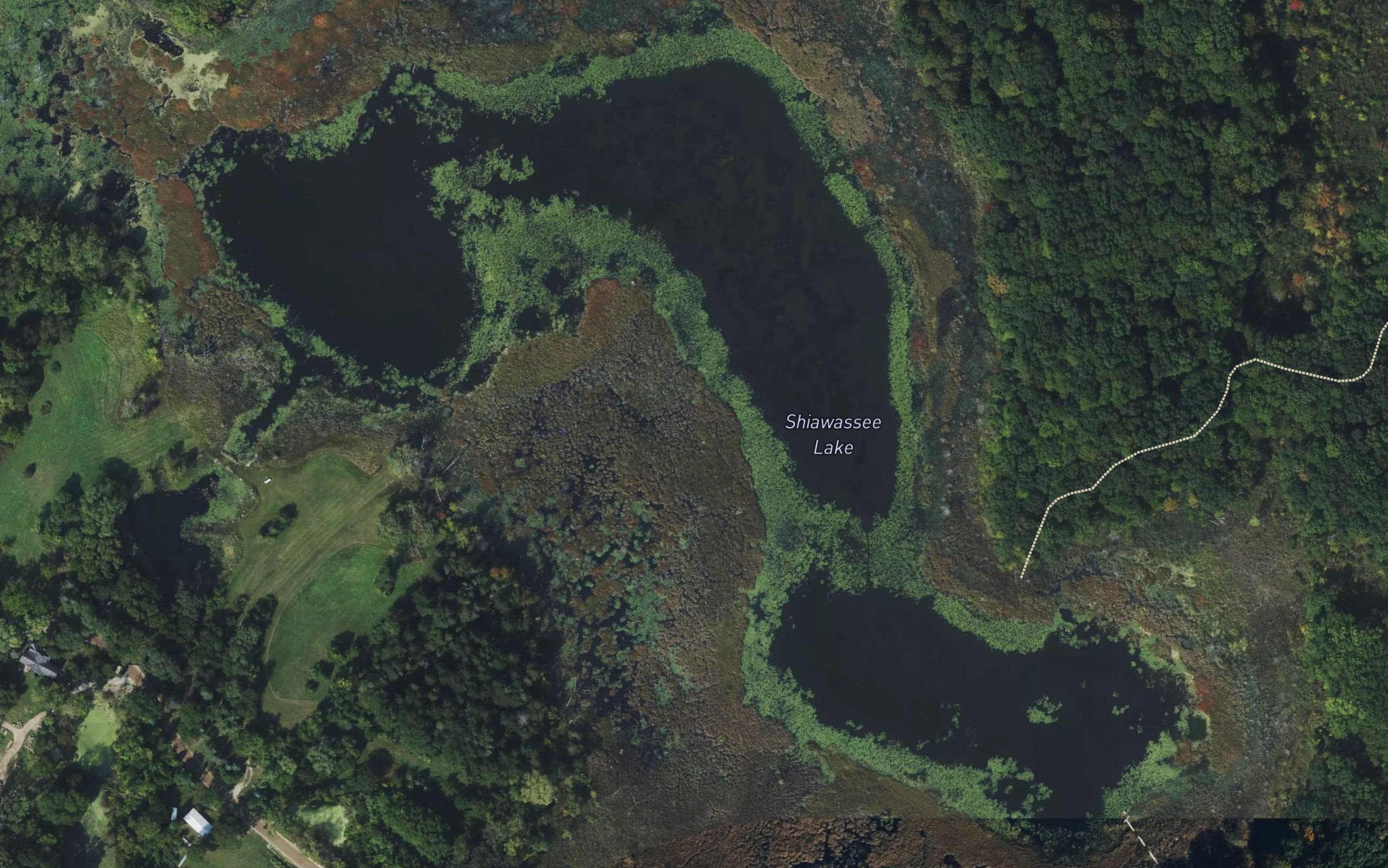 Shiawassee Lake
