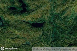 Lac Sucker