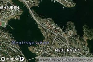 Neglingeviken