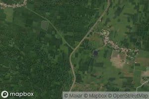 Distributary Number Ten