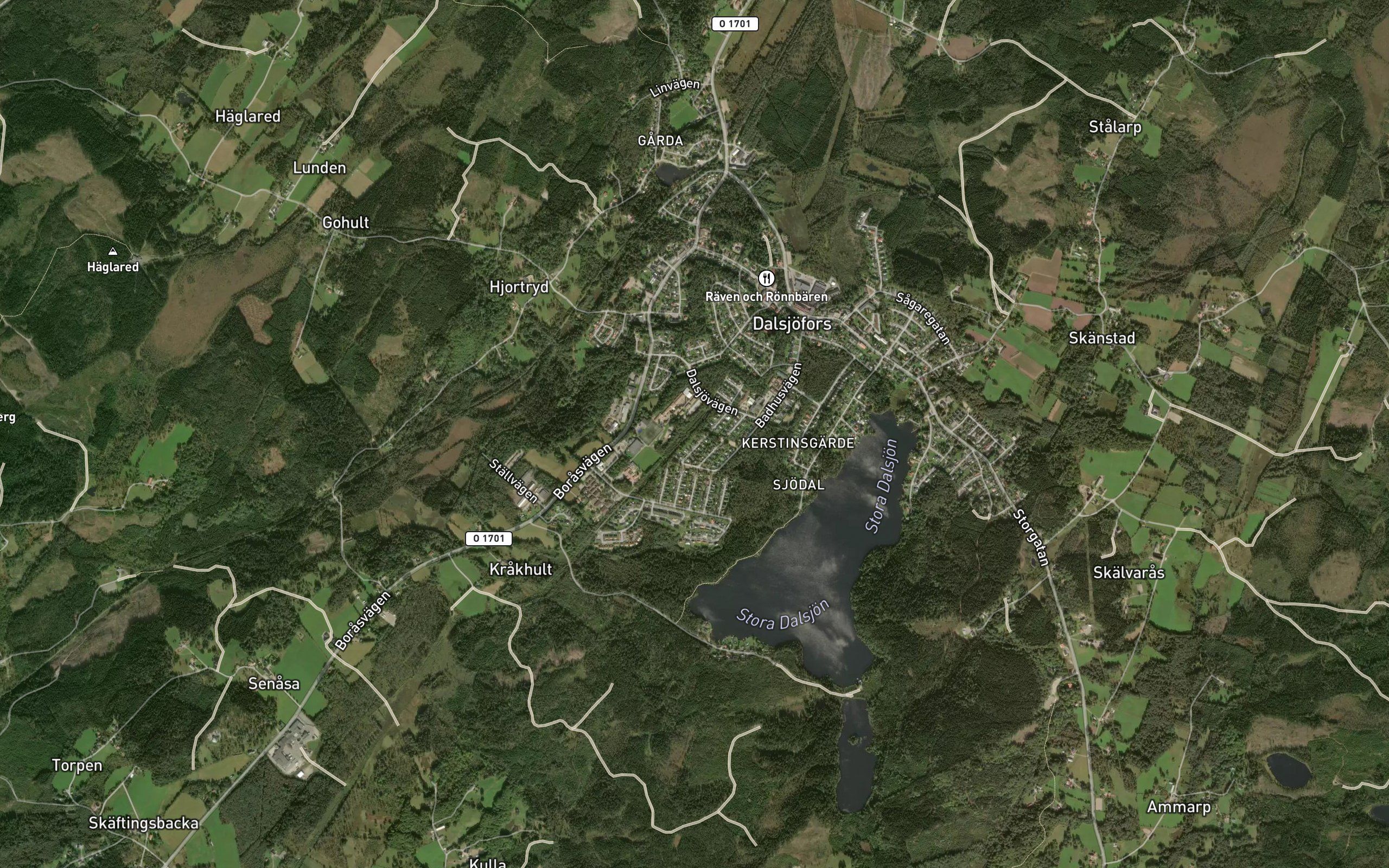 Stora Dalsjon