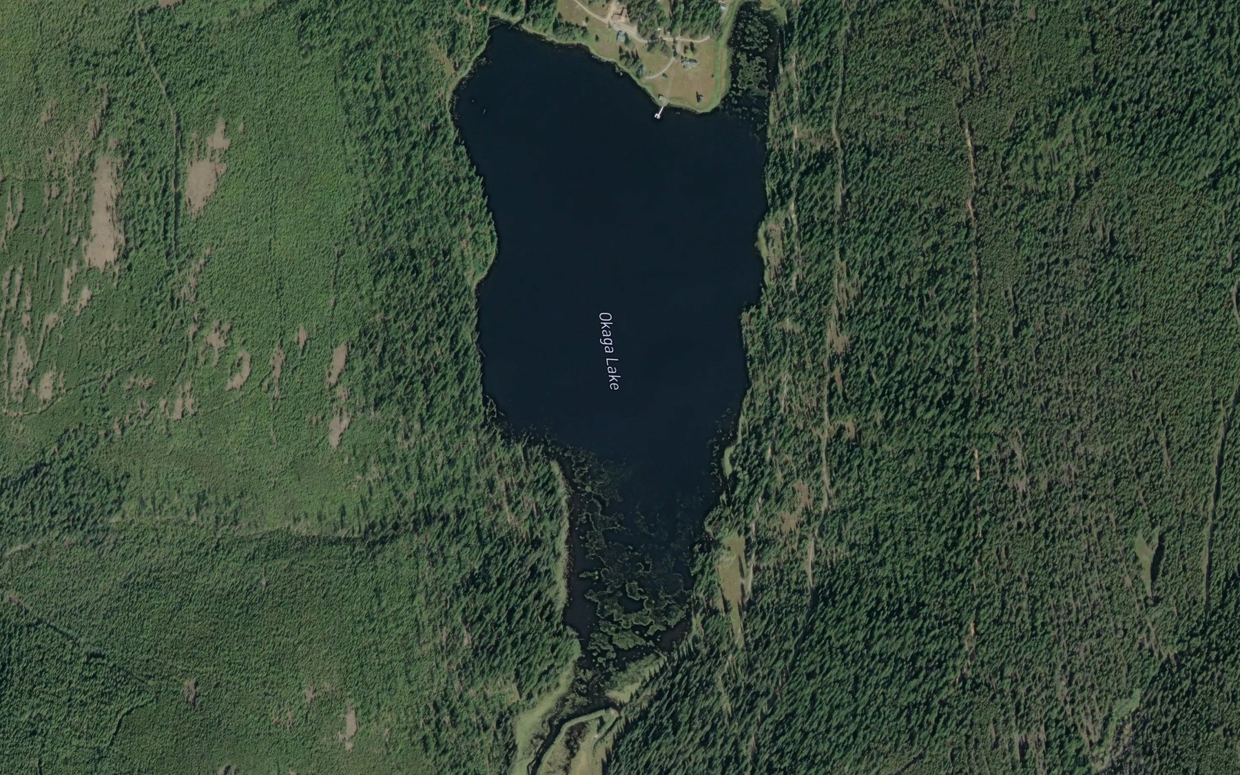 Satellite map of the Okaga Lake