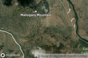 Mahogany Mountain Spring