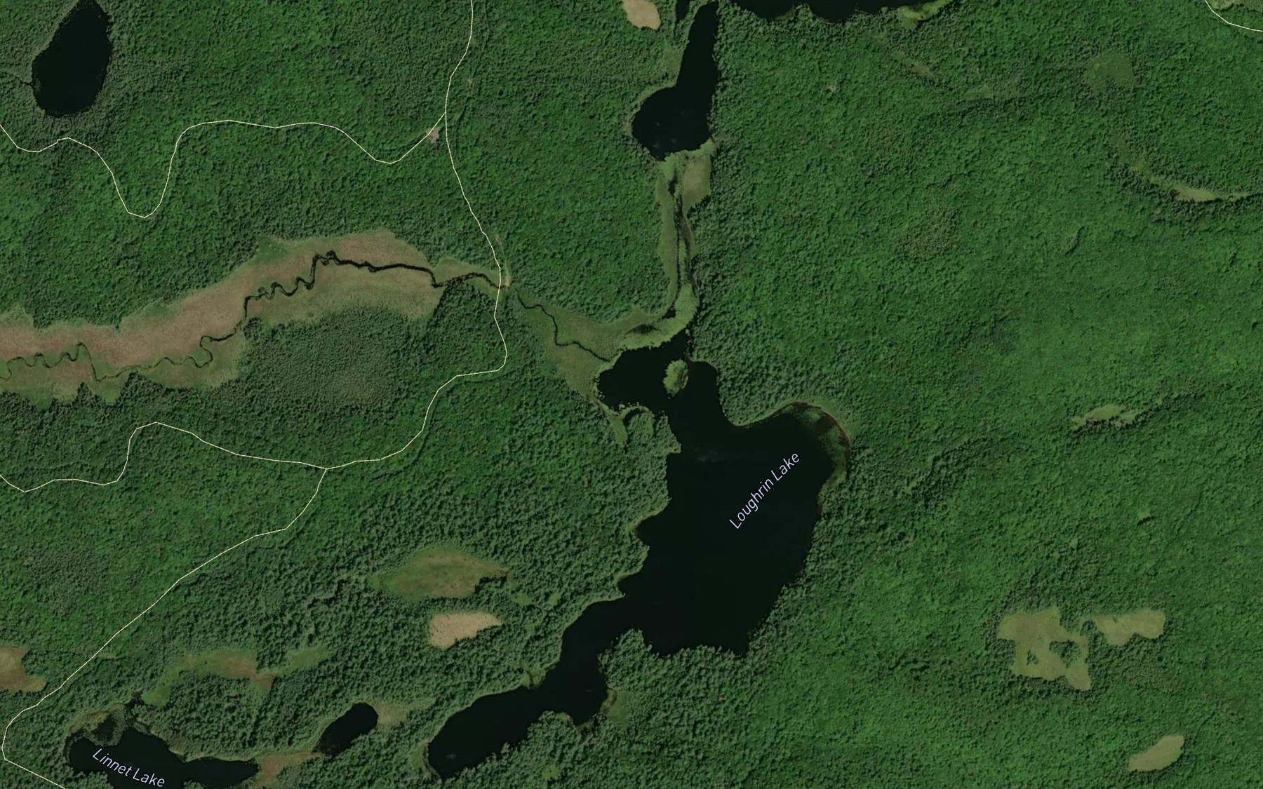 Satellite map of the Loughrin Lake