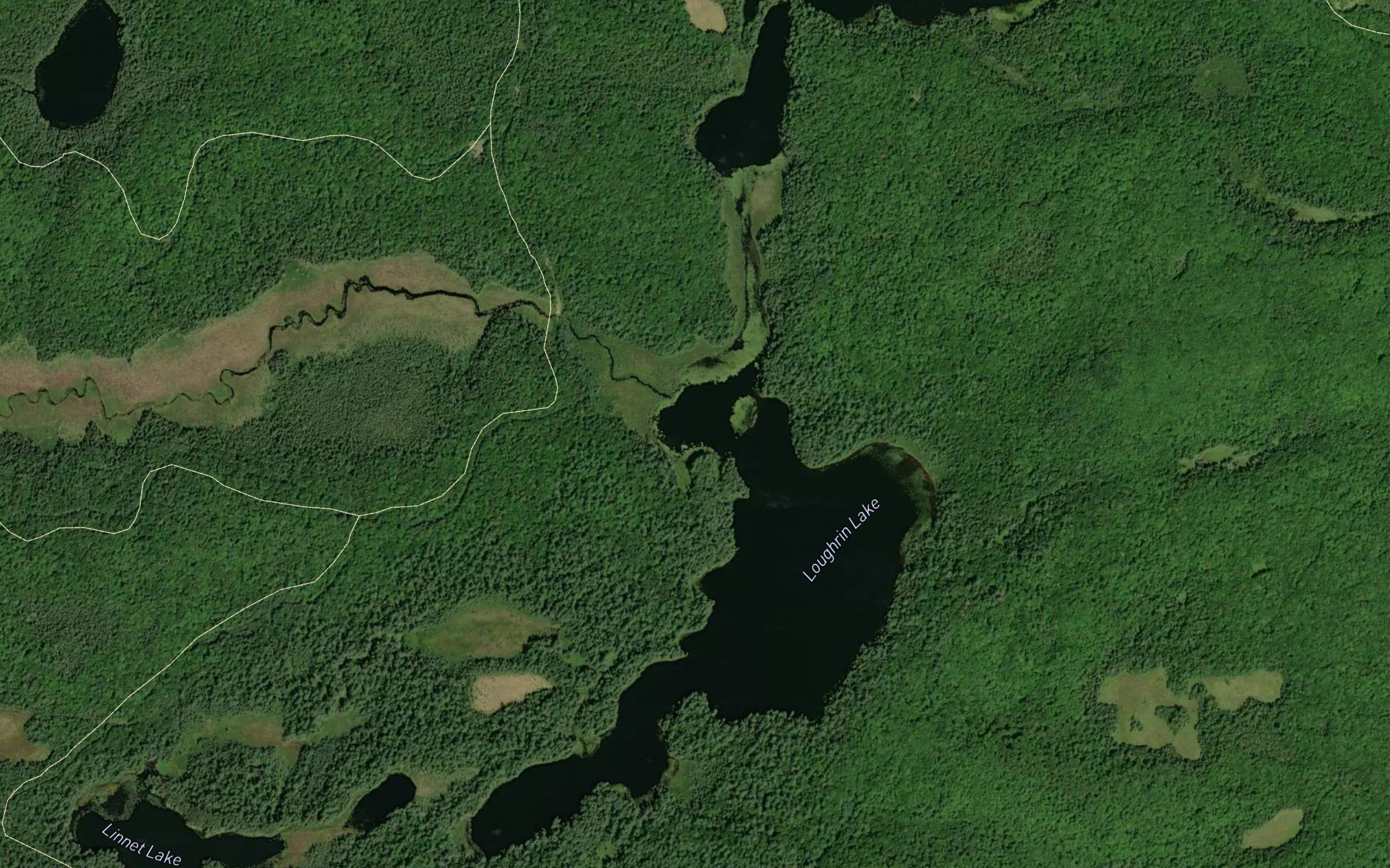 Loughrin Lake