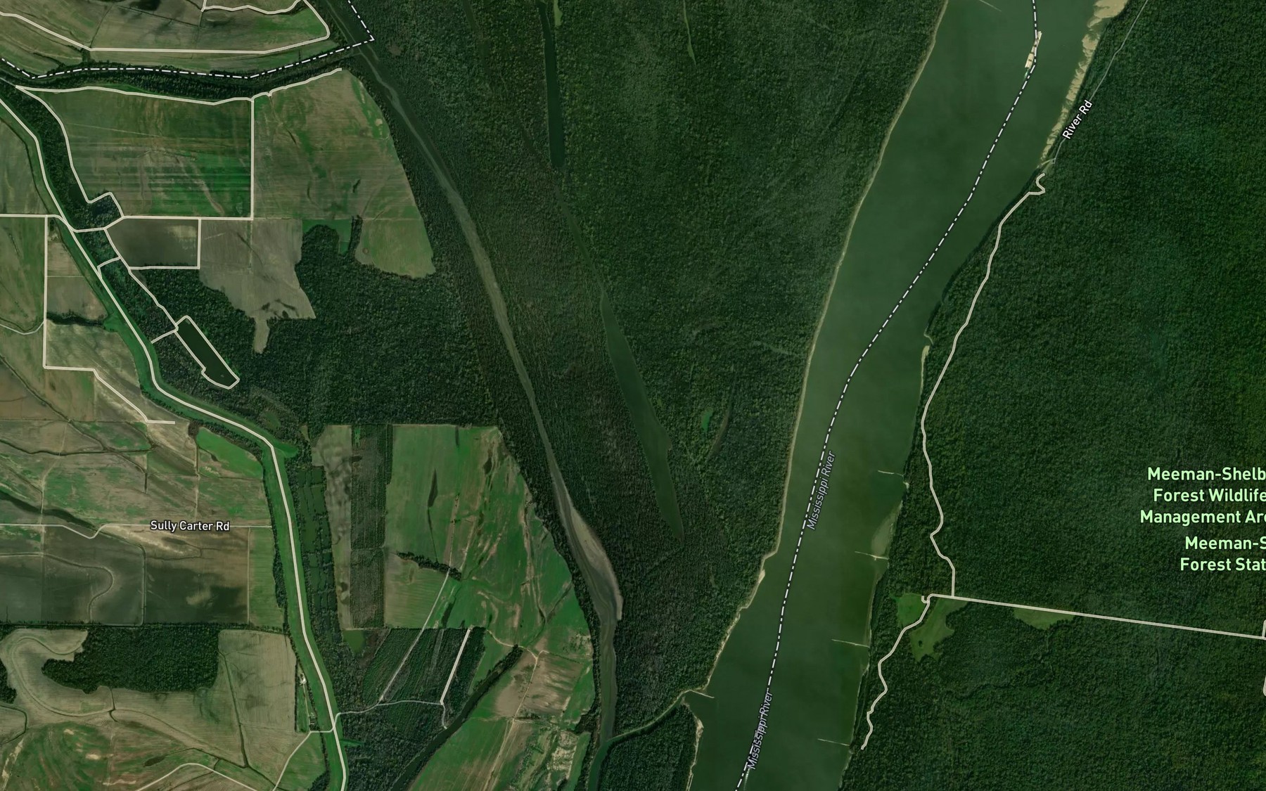 Satellite map of the South Lake