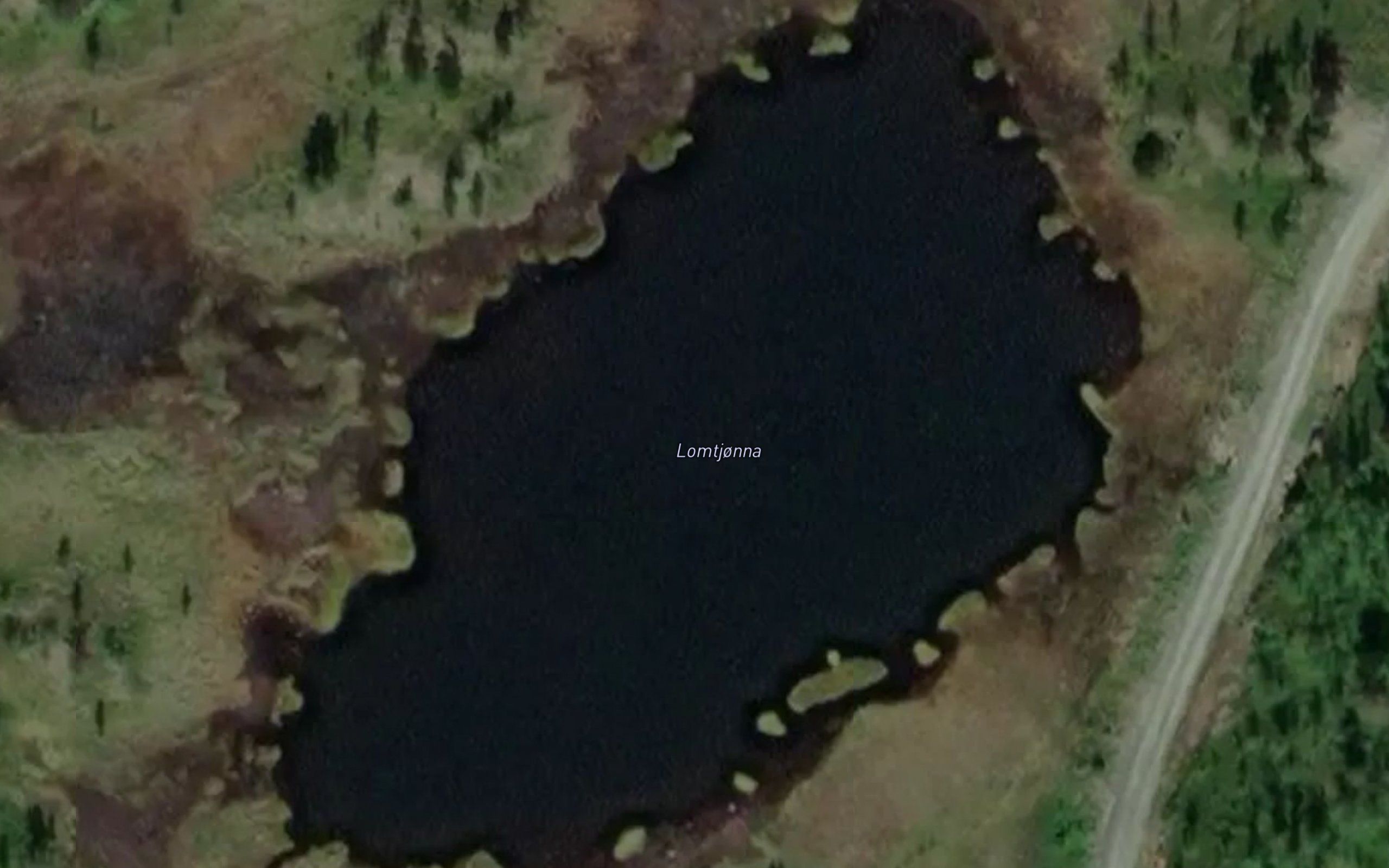 Lomtjonna