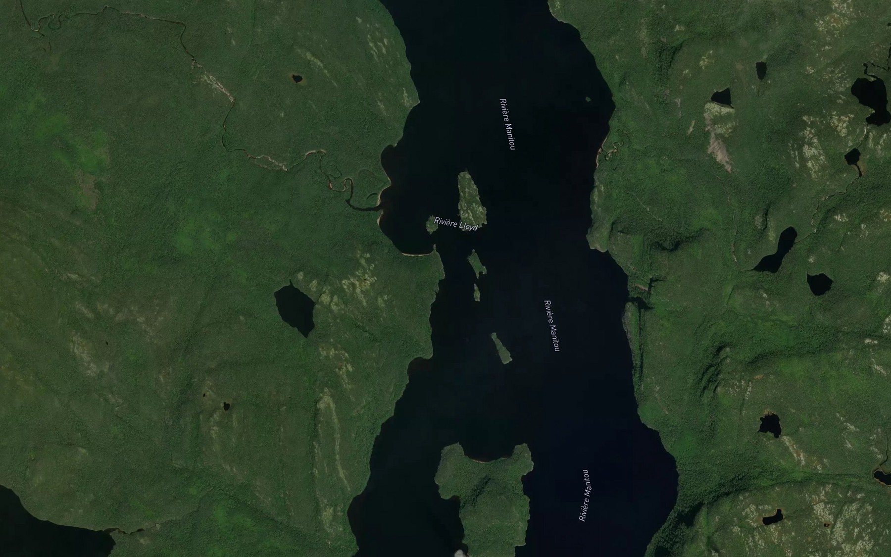 Satellite map of the Riviere Lloyd