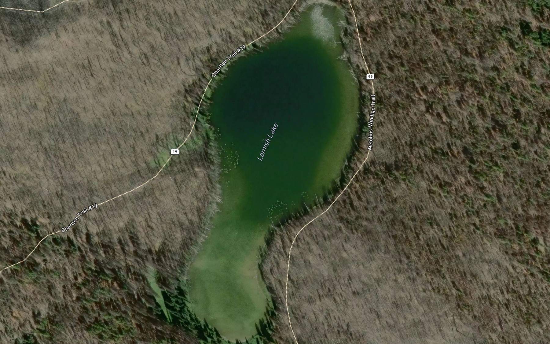 Satellite map of the Lemish Lake