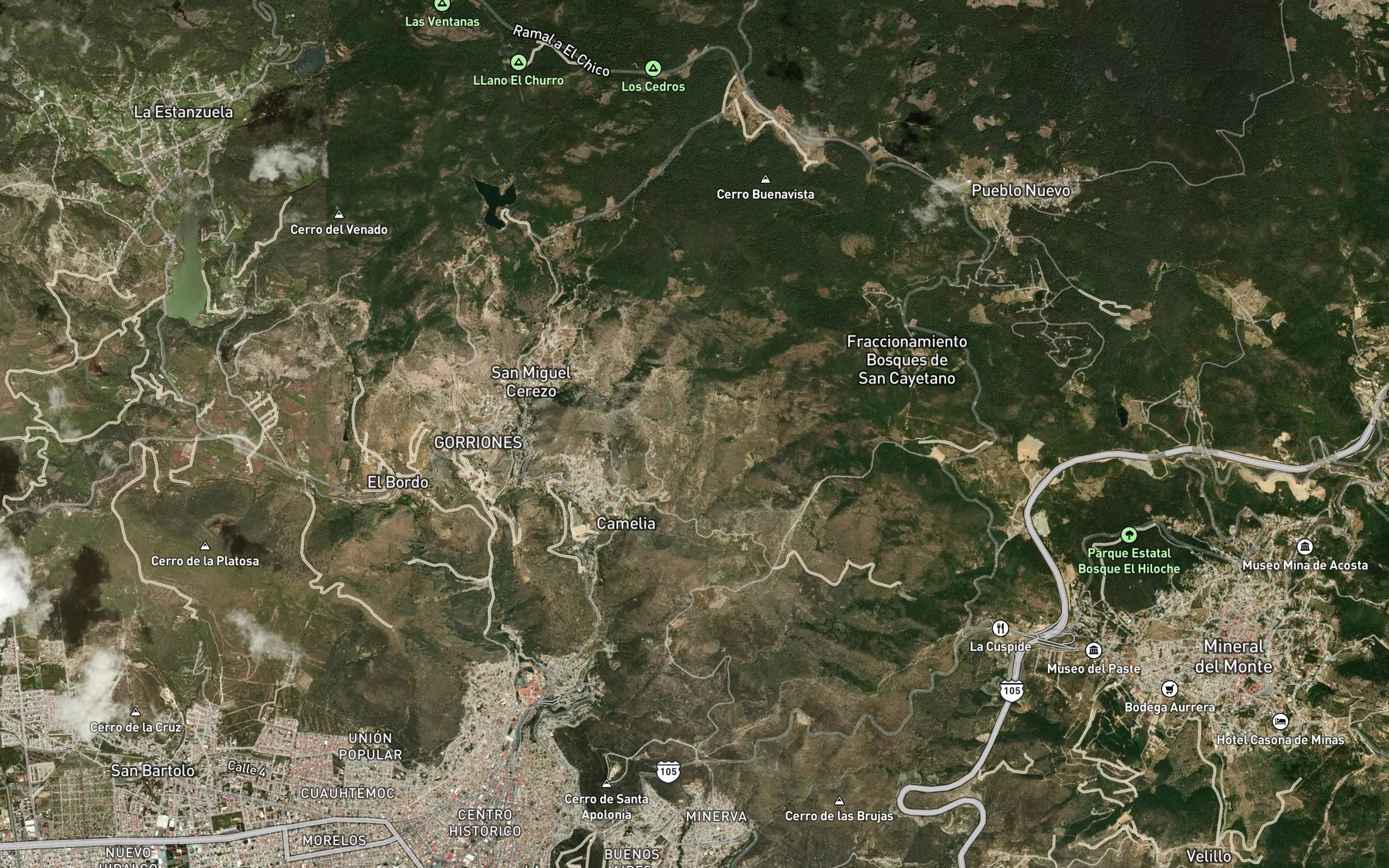 Satellite map of the El Salto