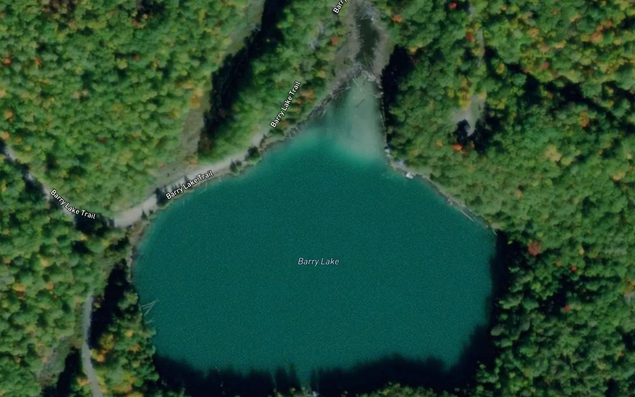 Barry Lake