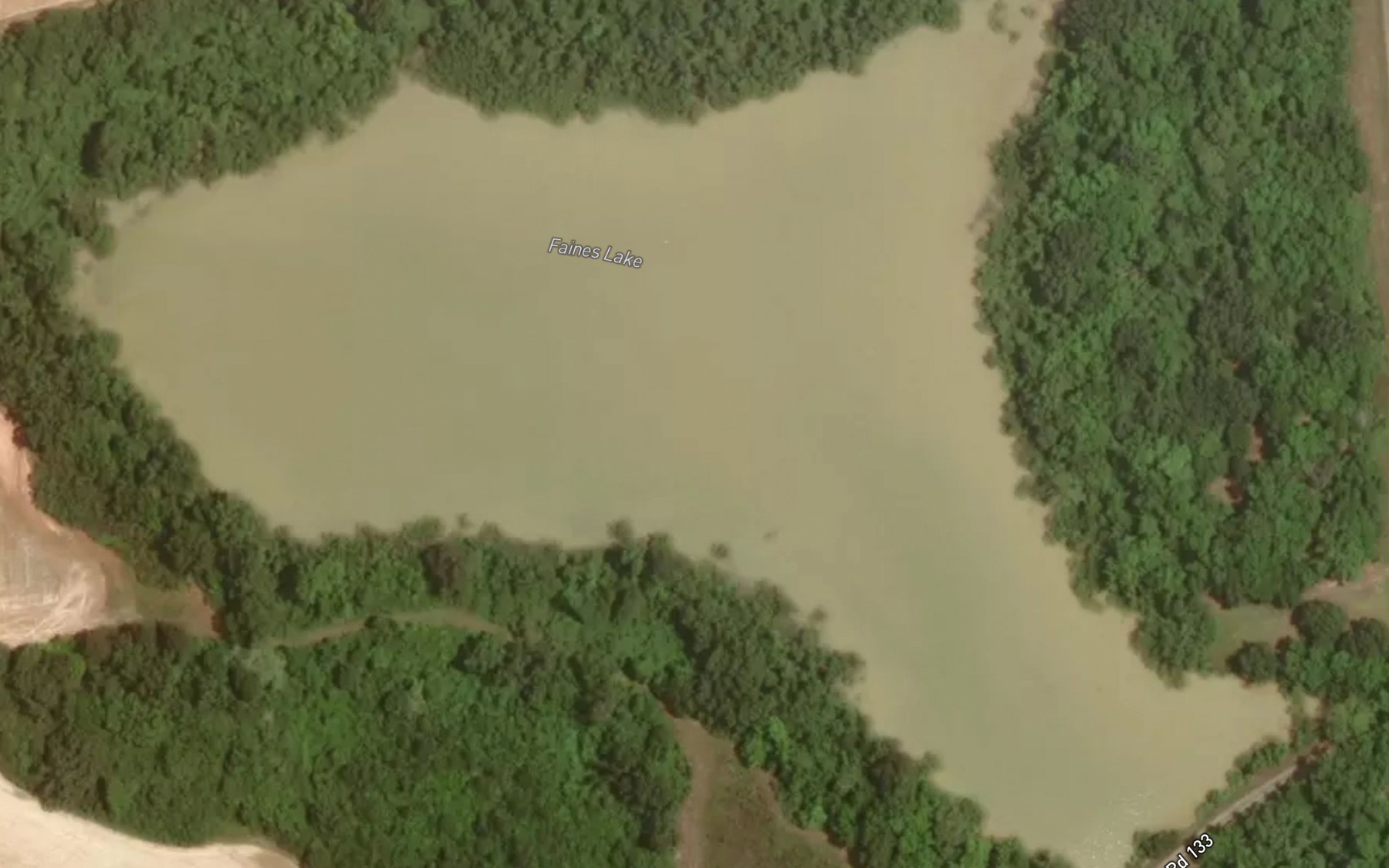 Satellite map of the Faines Lake