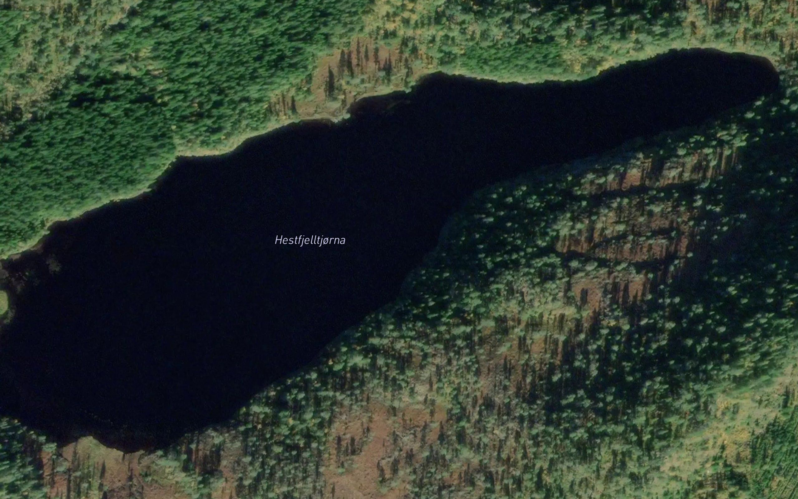 Skjerakelitjorna