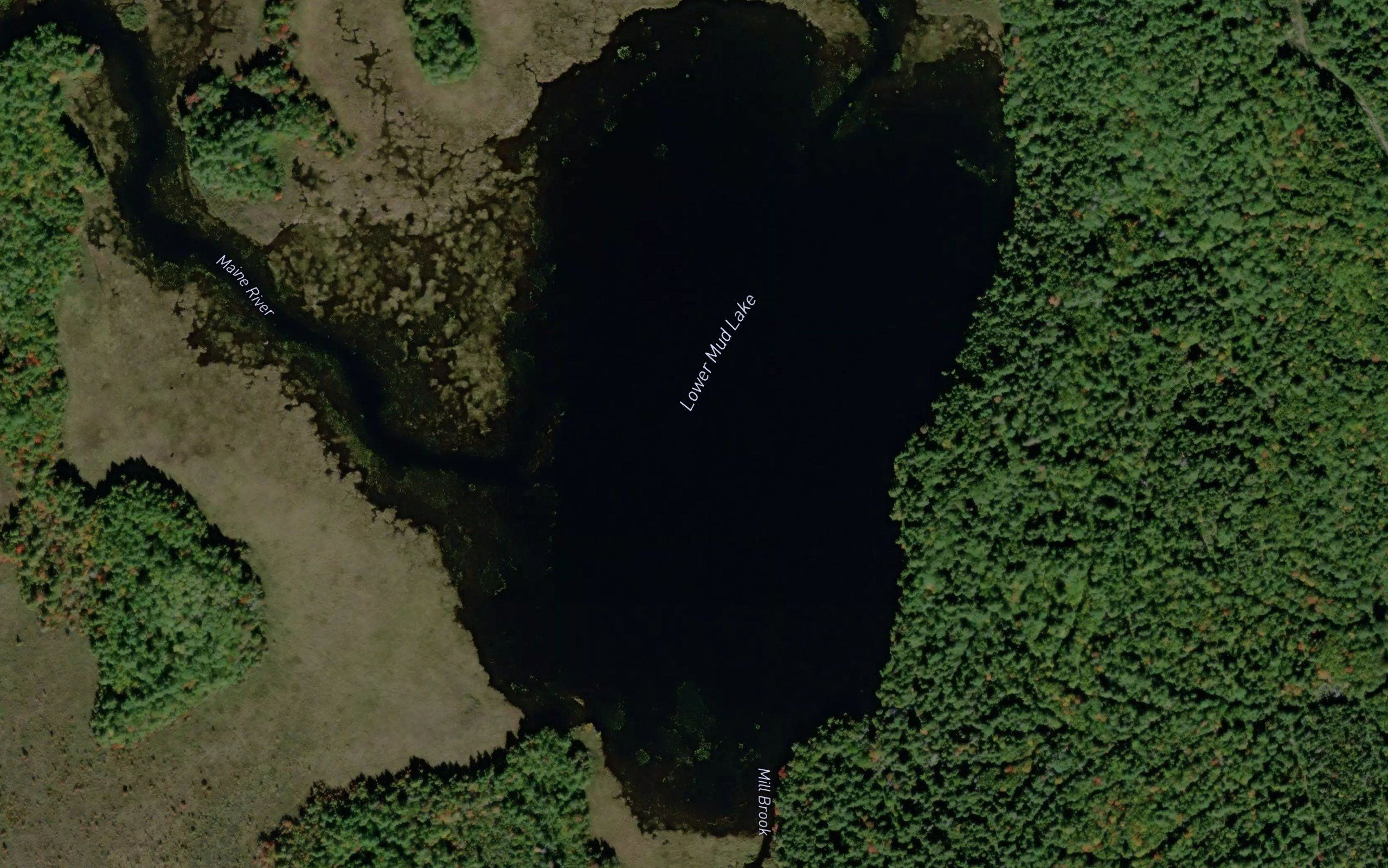 Lower Mud Lake