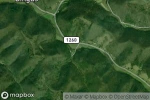 Peter Cave Branch
