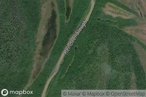 Reindeer Slough