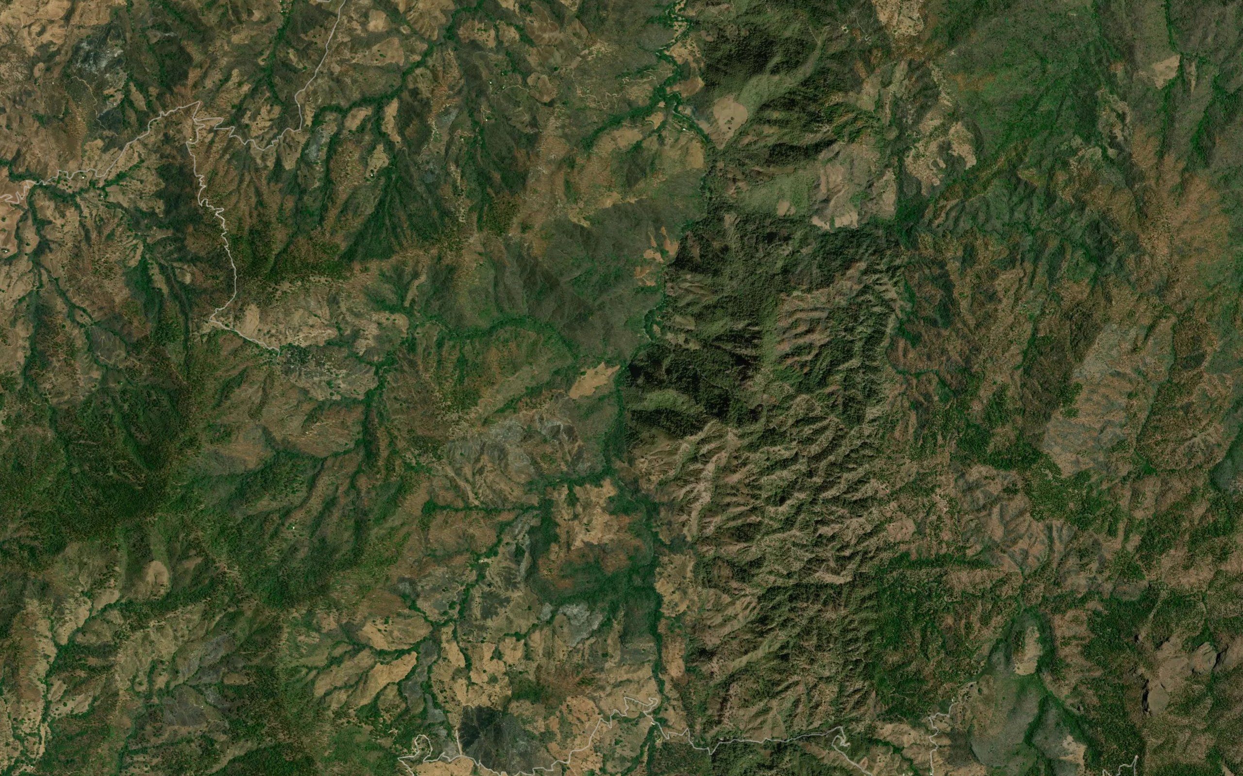 Barranca El Pino