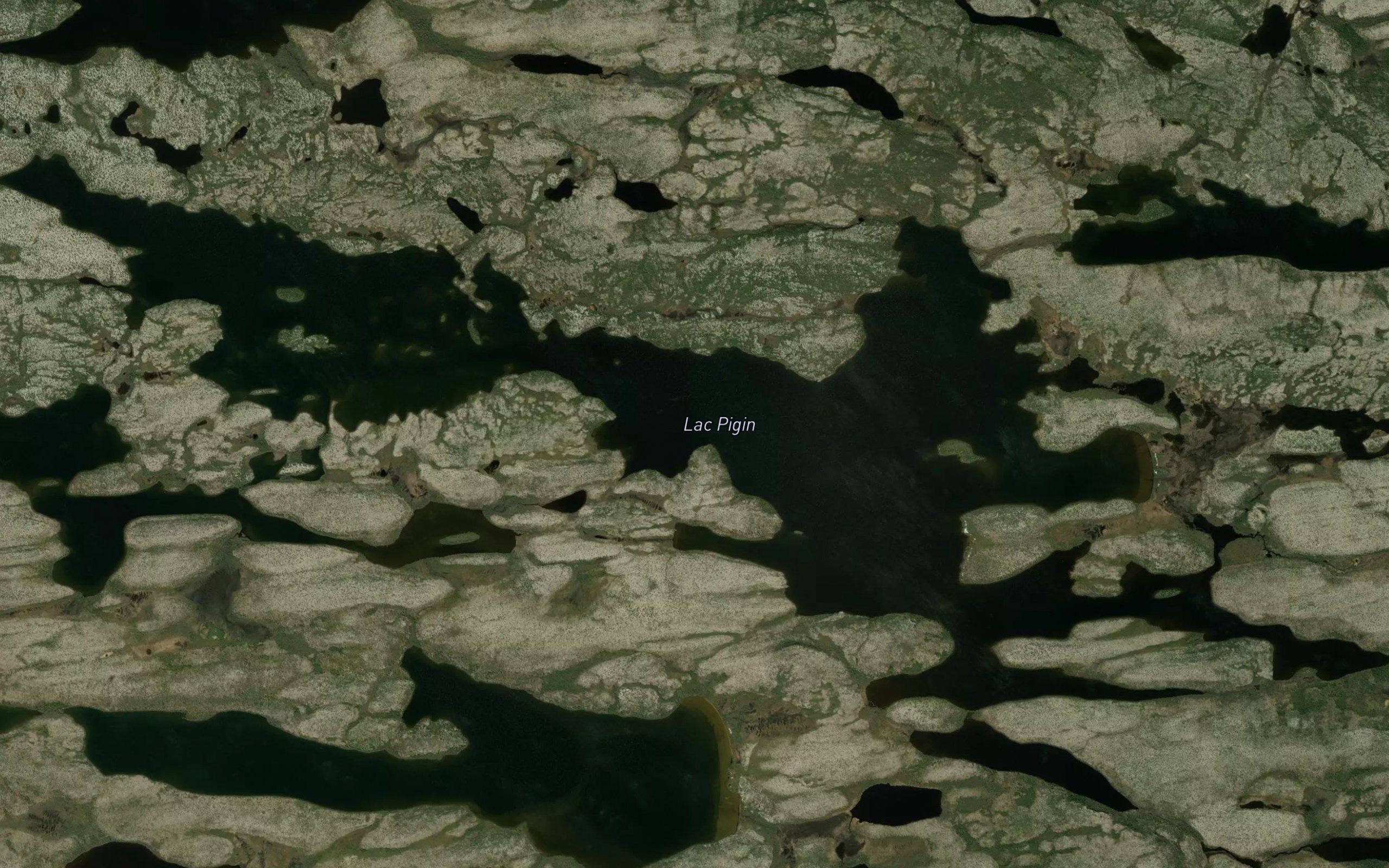 Lac Pigin