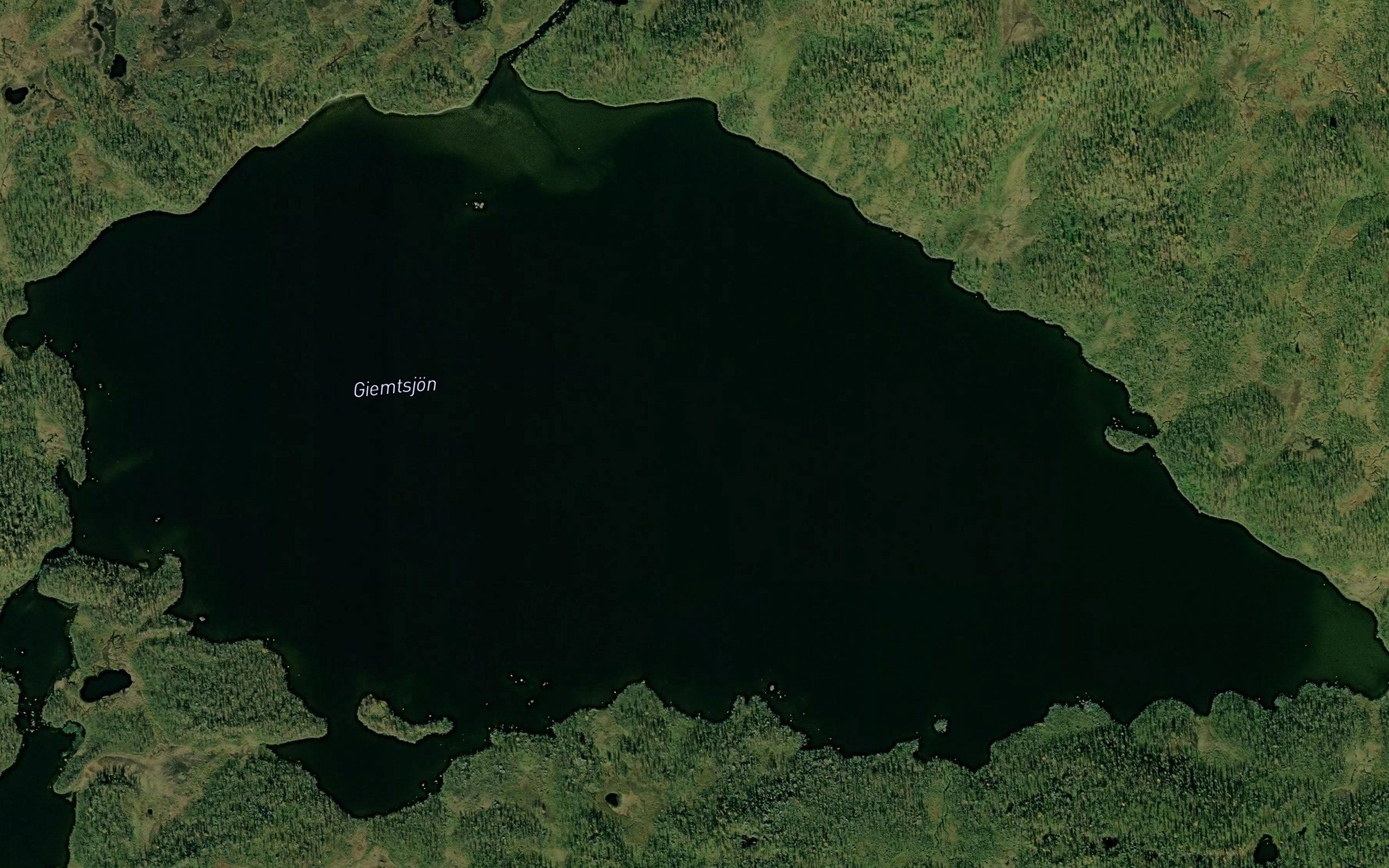 Tjamstjaure
