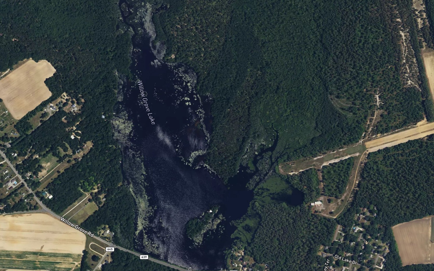 Satellite map of the Willow Grove Lake