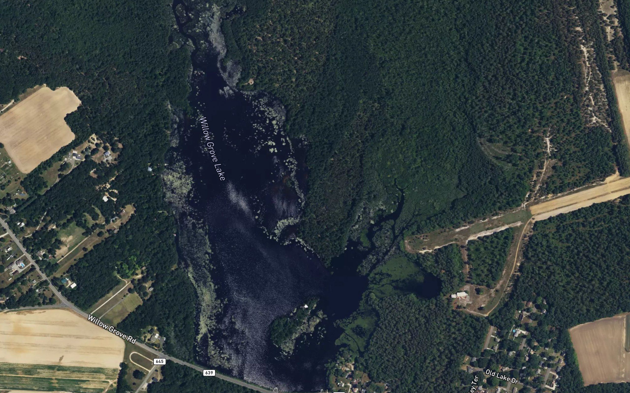 Willow Grove Lake