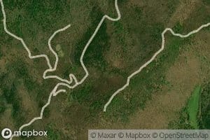 National Forest Spring