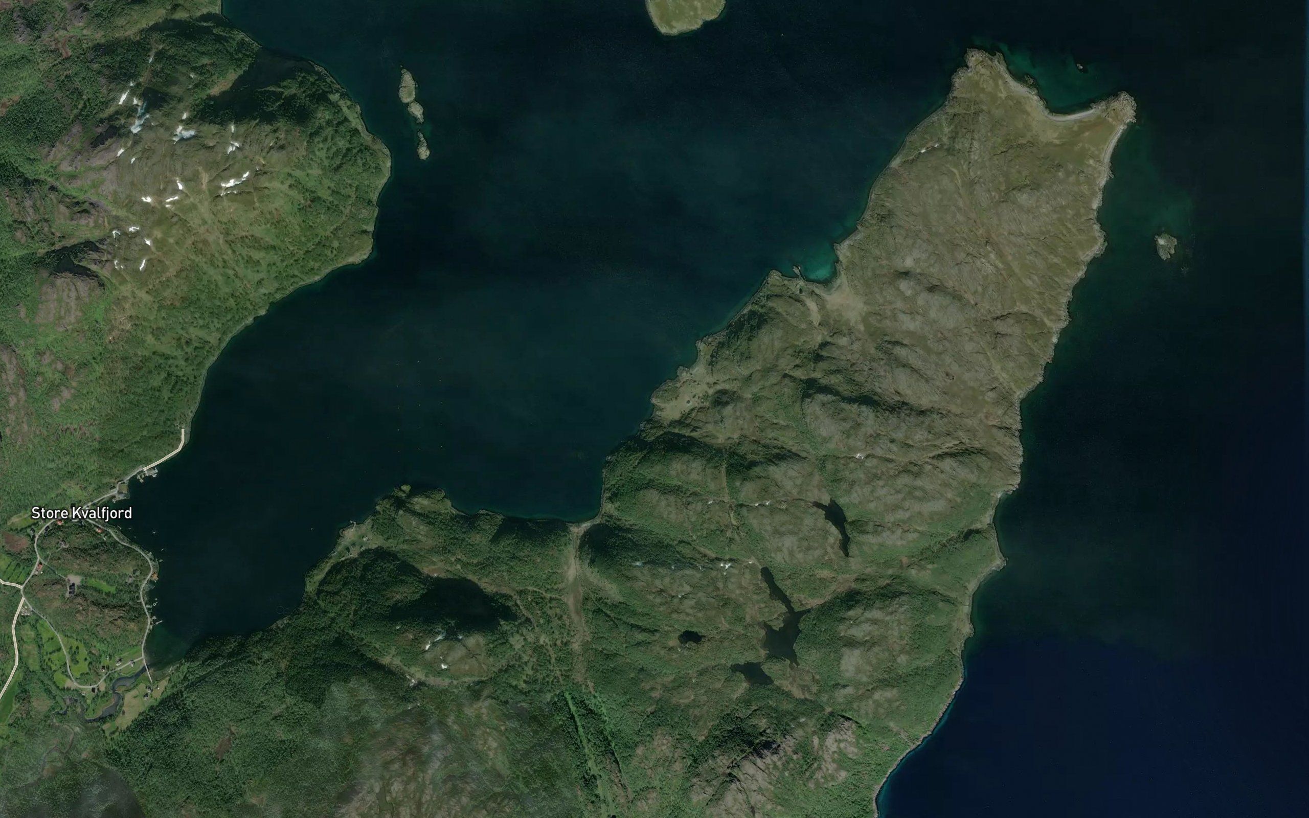 Vanasgohppi