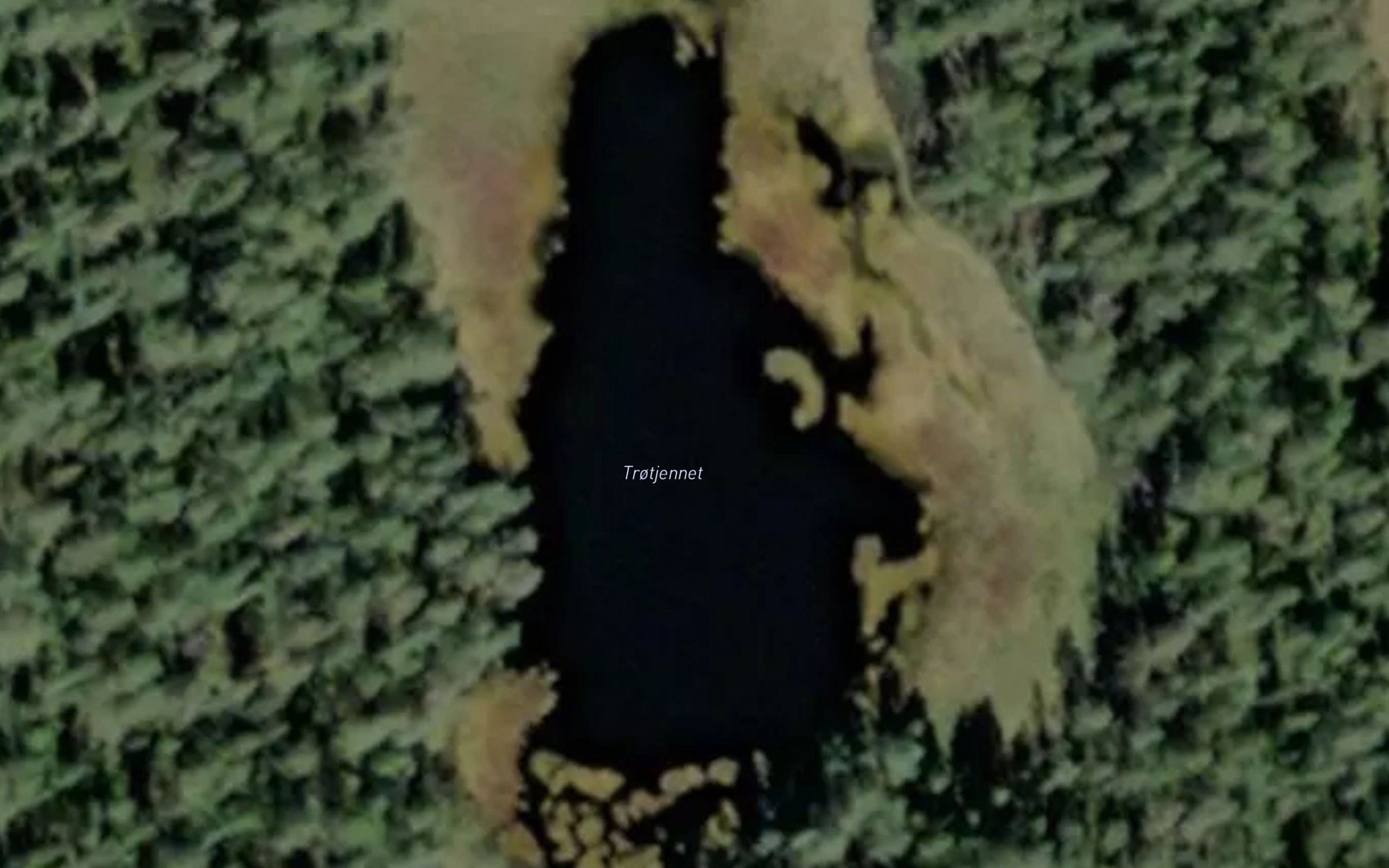 Trotjennet