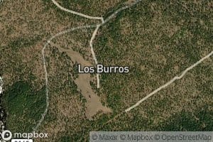 Los Burros Spring
