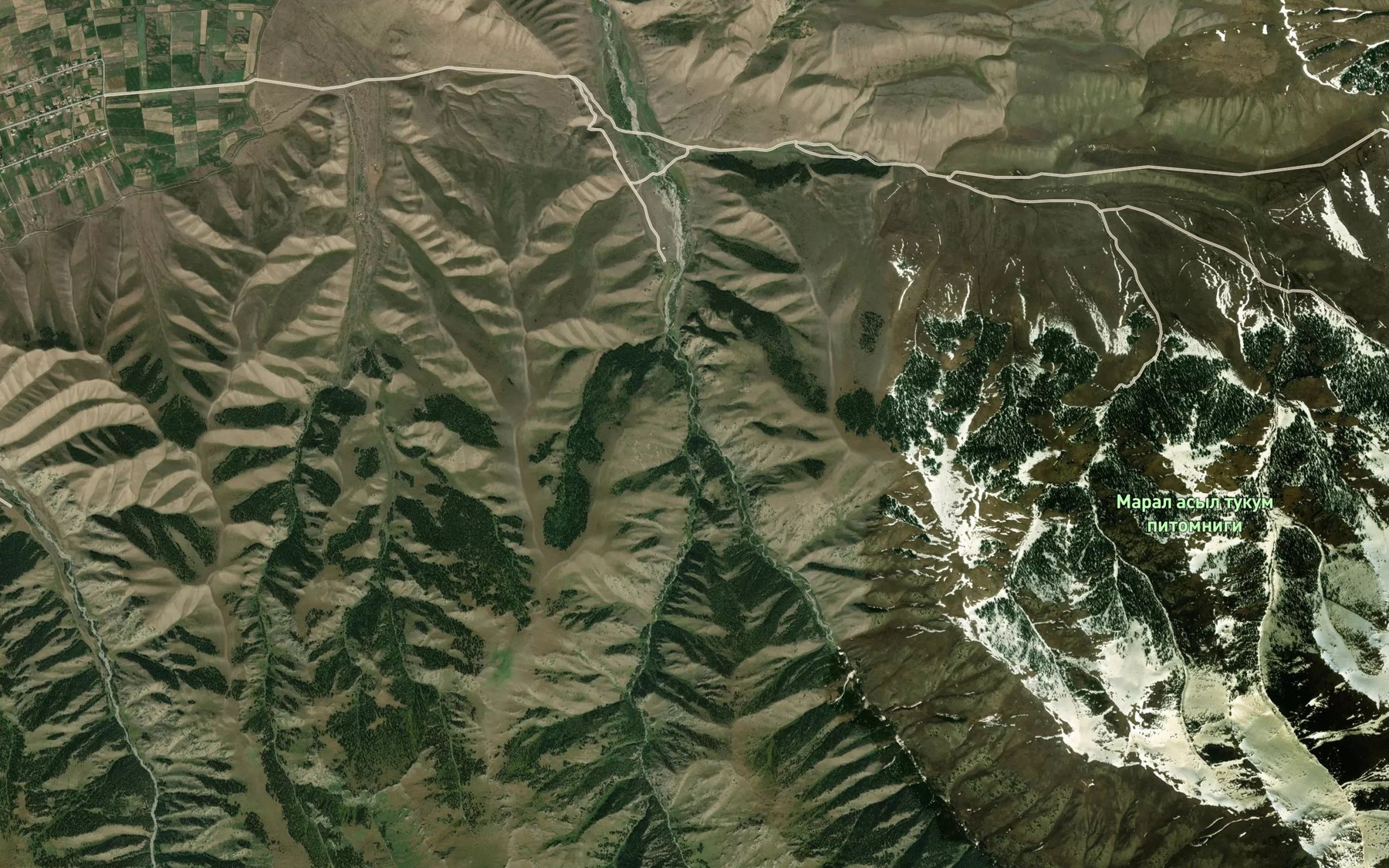 Satellite map of the Irisu
