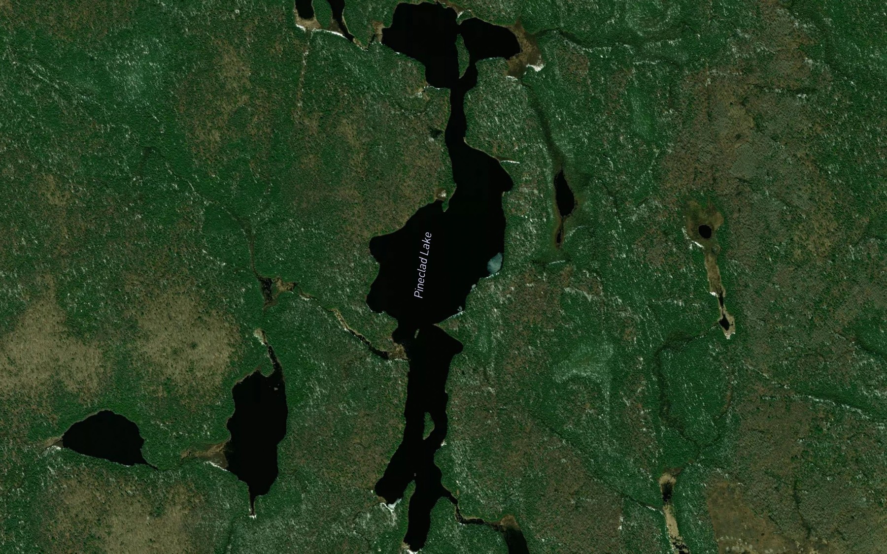 Satellite map of the Pineclad Lake