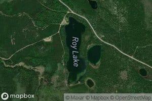 Roy Lake