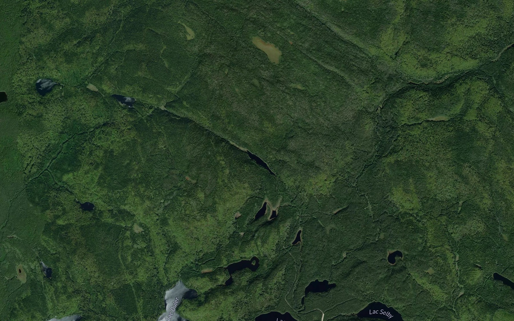 Satellite map of the Lac du Ravage