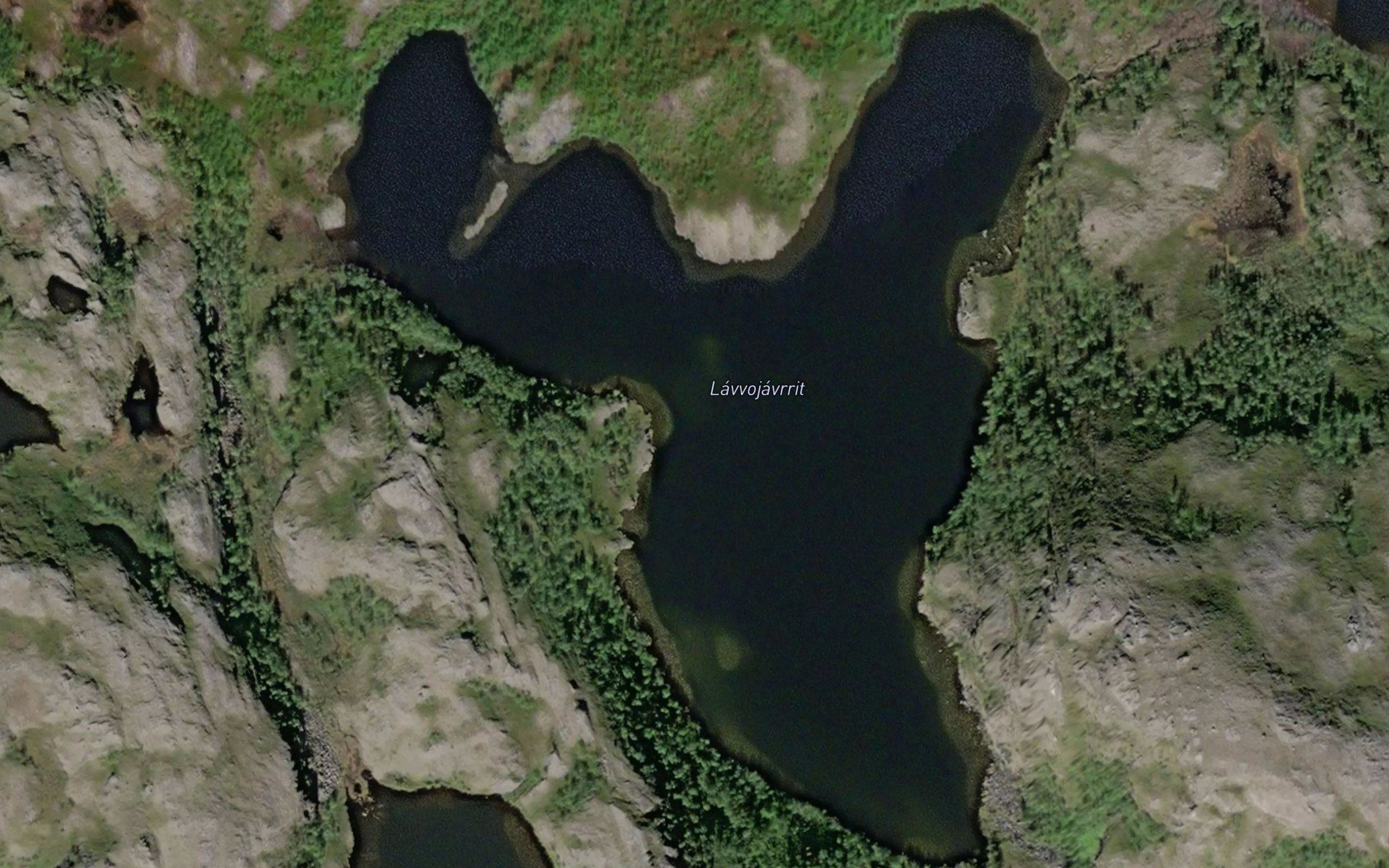 Lavvujavrit