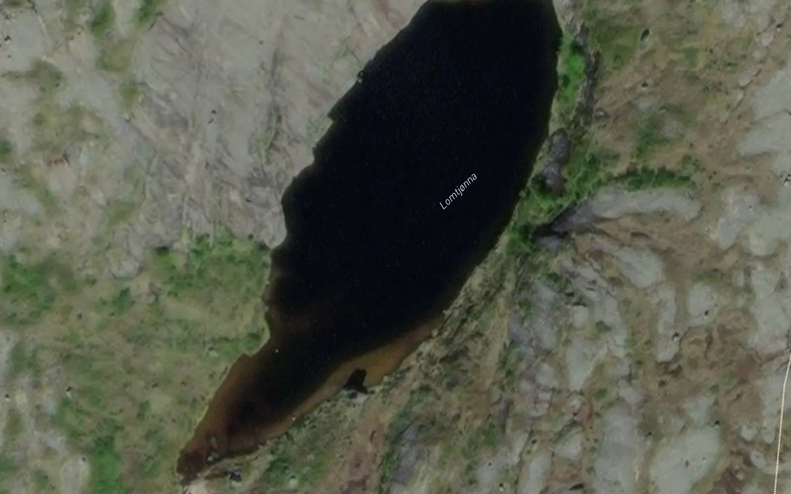 Lomtjonna