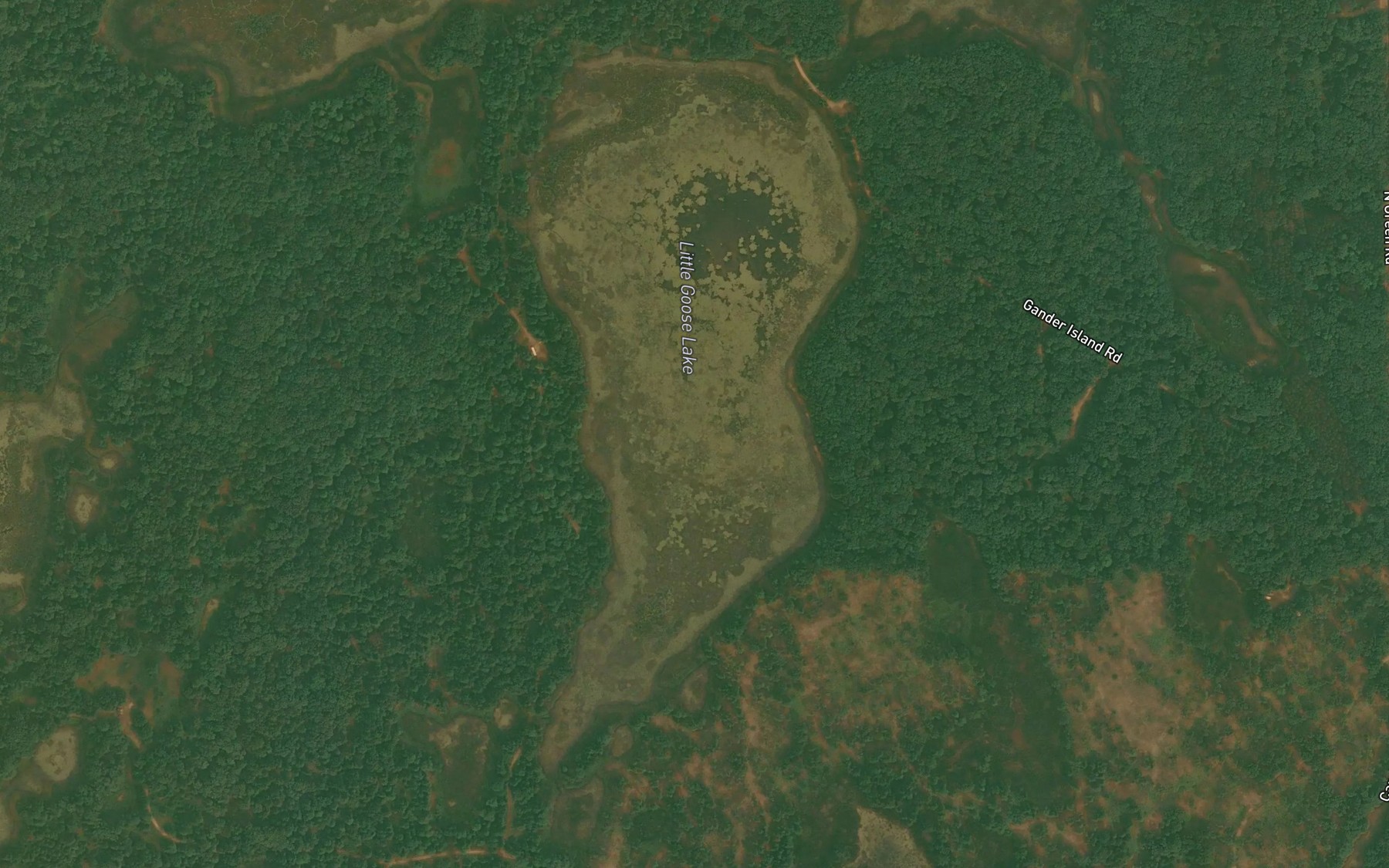 Satellite map of the Little Goose Lake