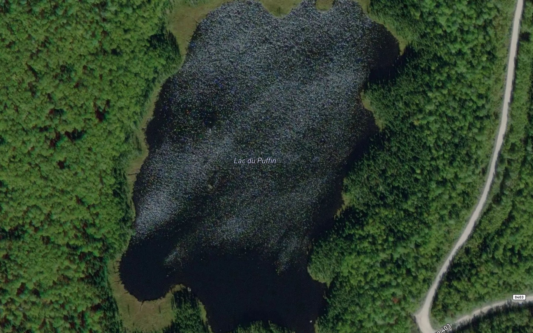 Satellite map of the Lac du Puffin