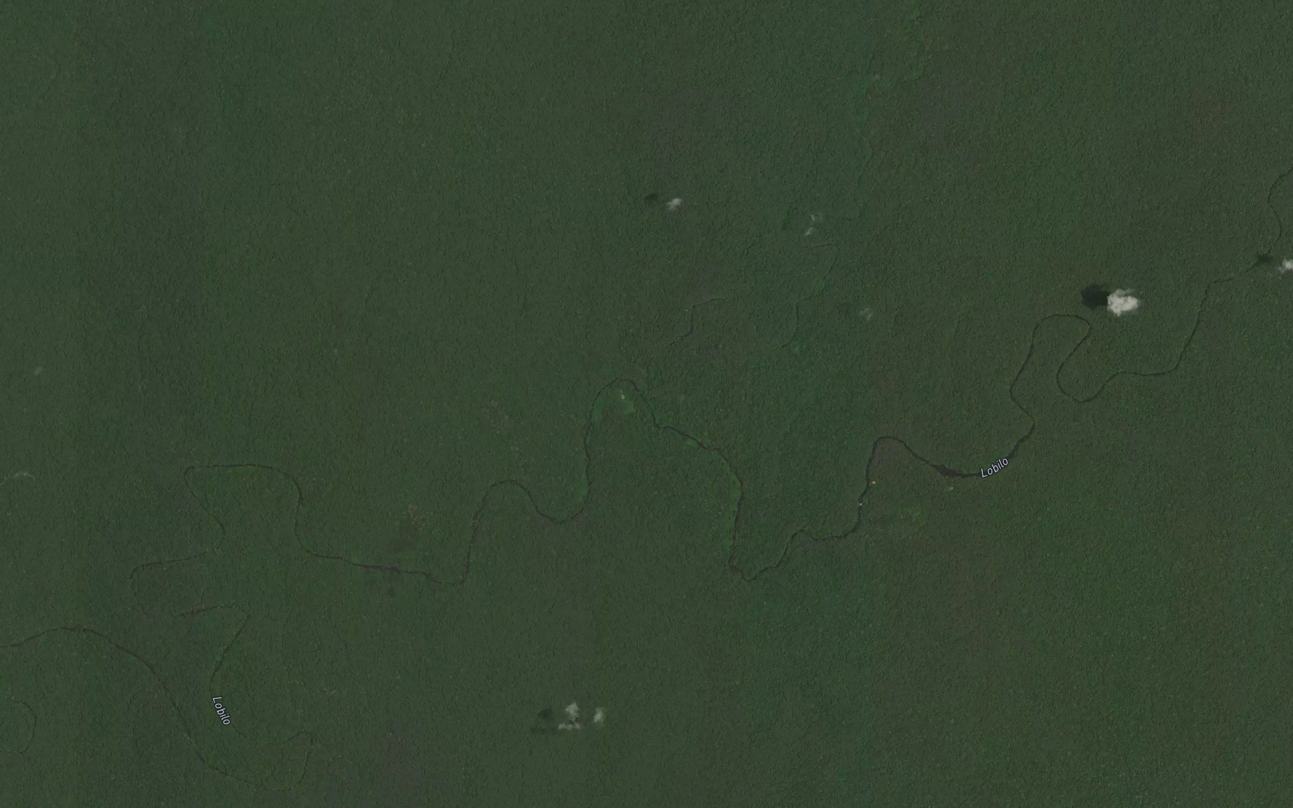 Luguma