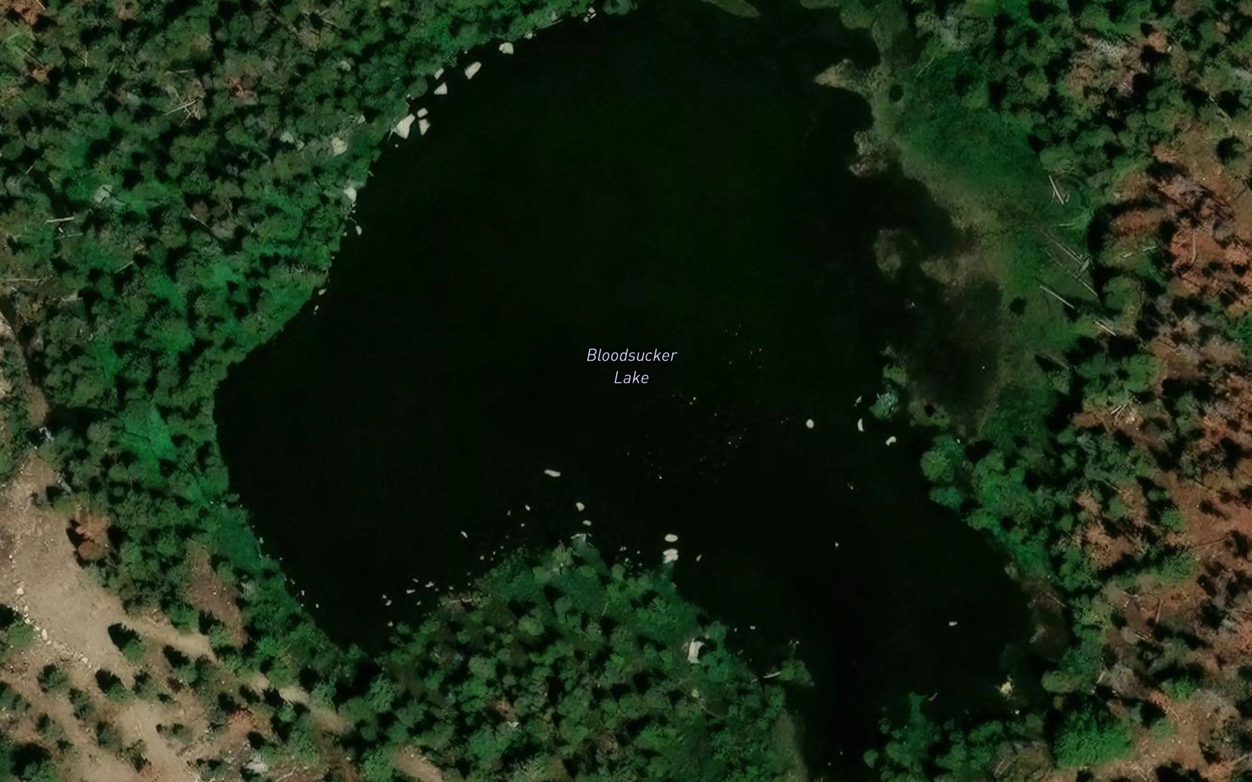 Bloodsucker Lake