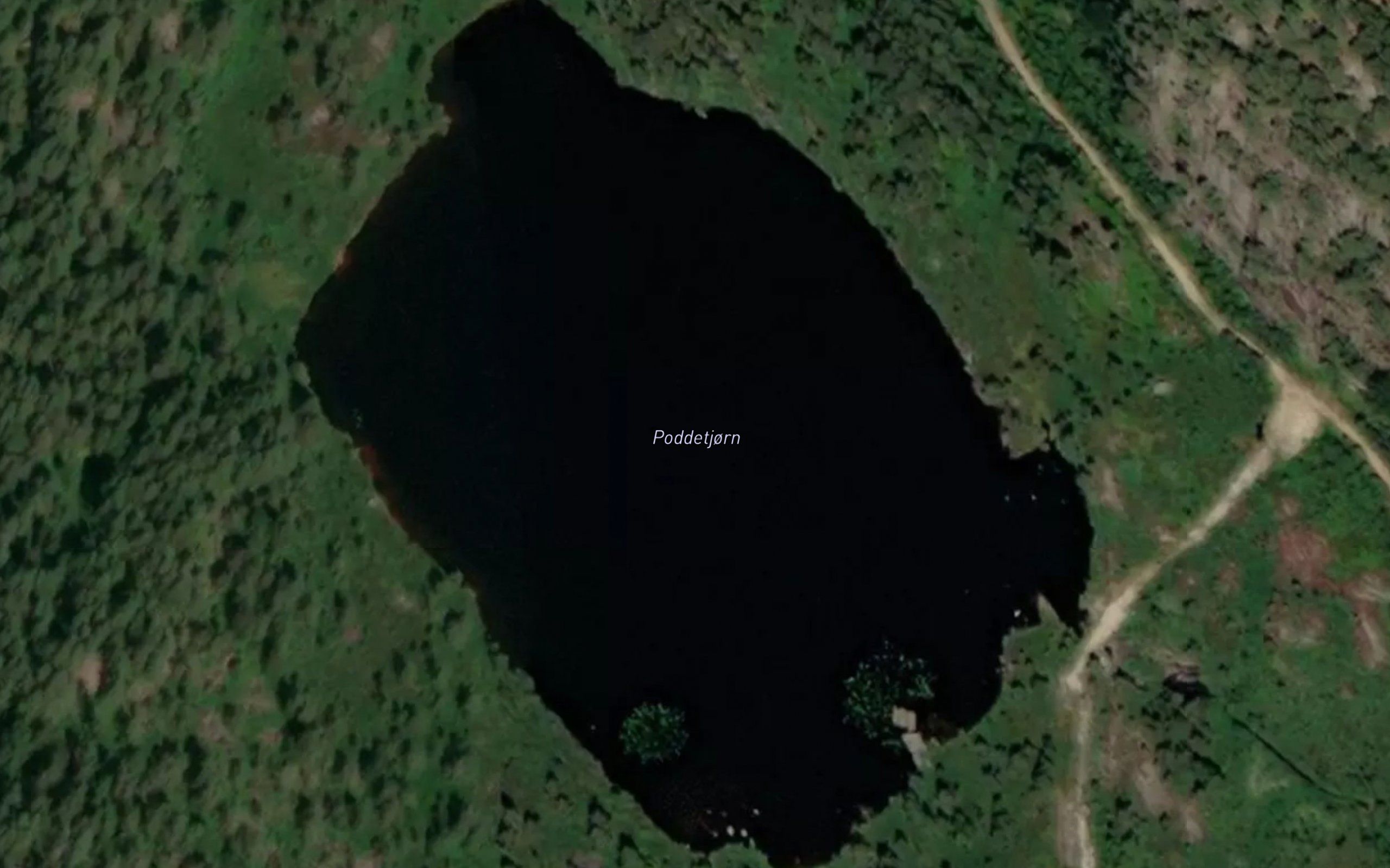 Poddetjorn
