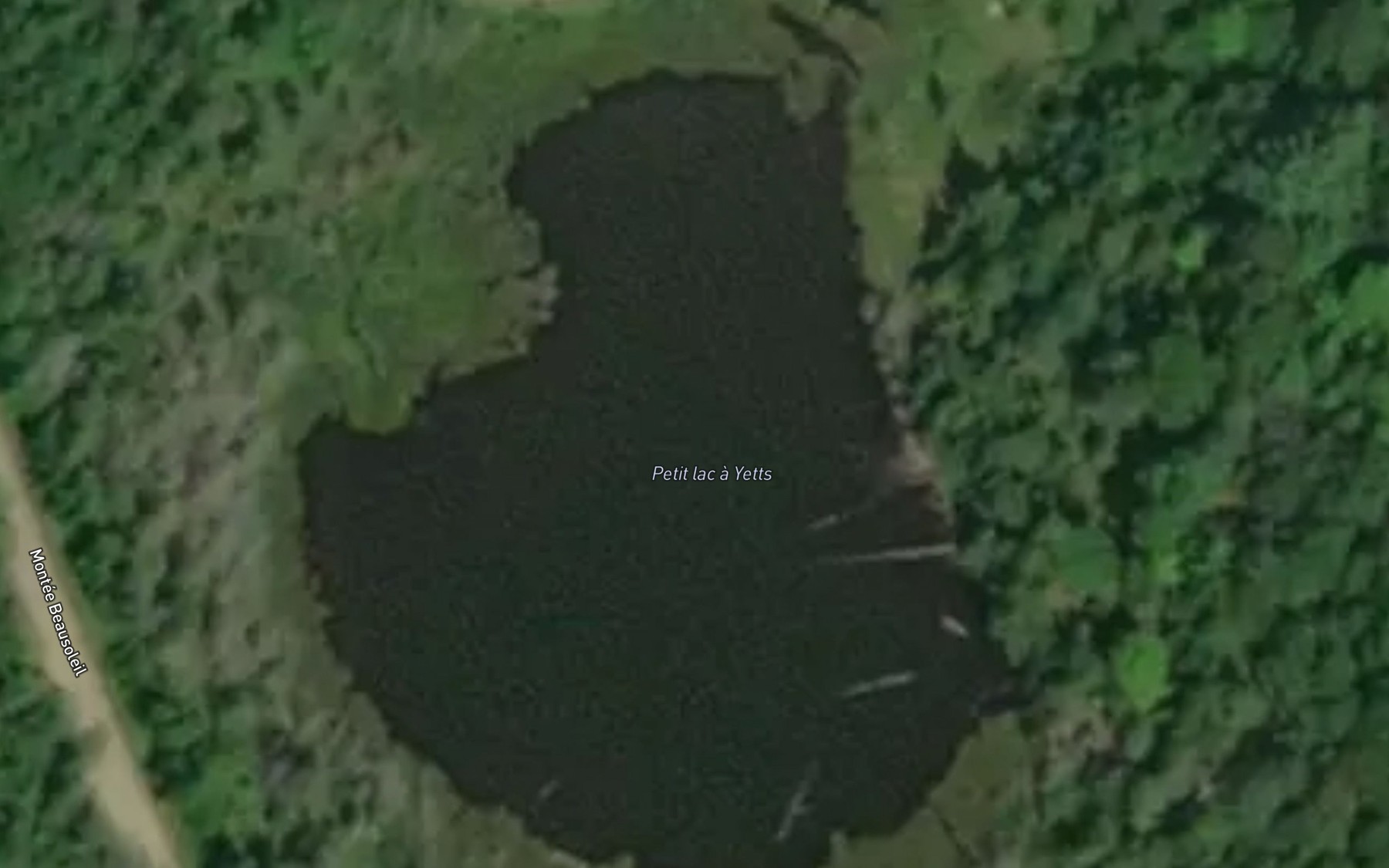 Satellite map of the Petit lac a Yetts